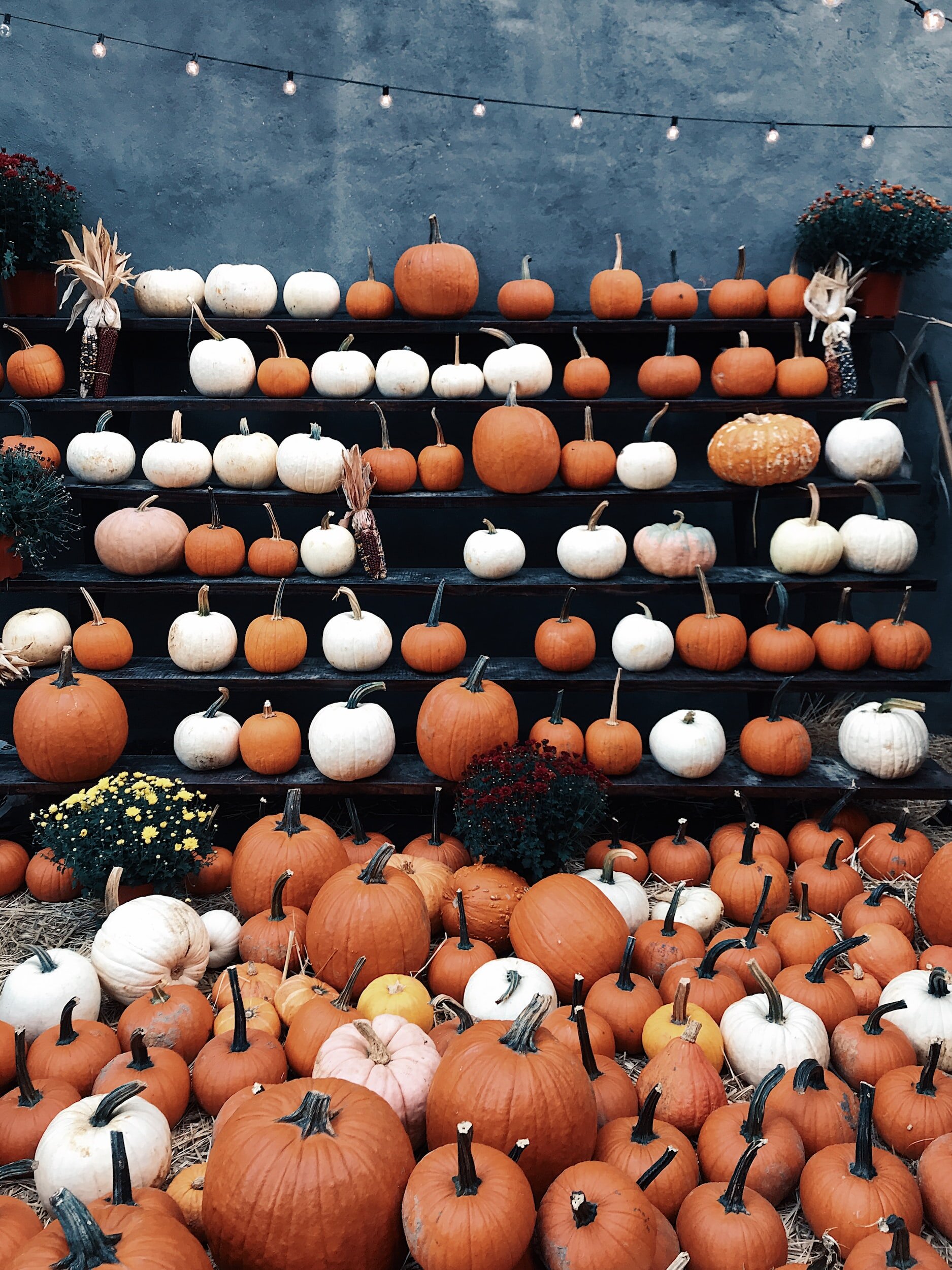 Chapelgate Fall Festival