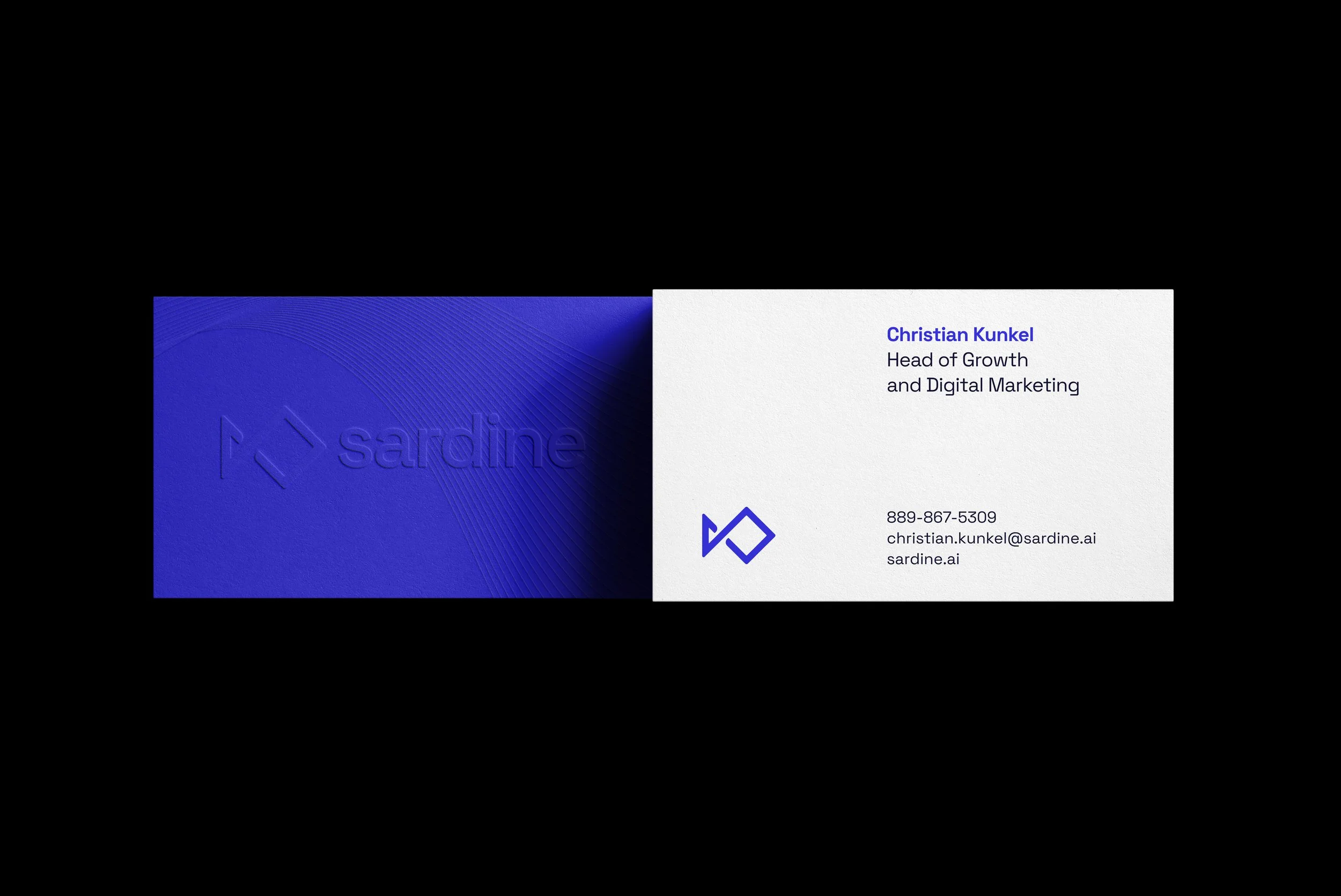 Sardine.ai — What Else