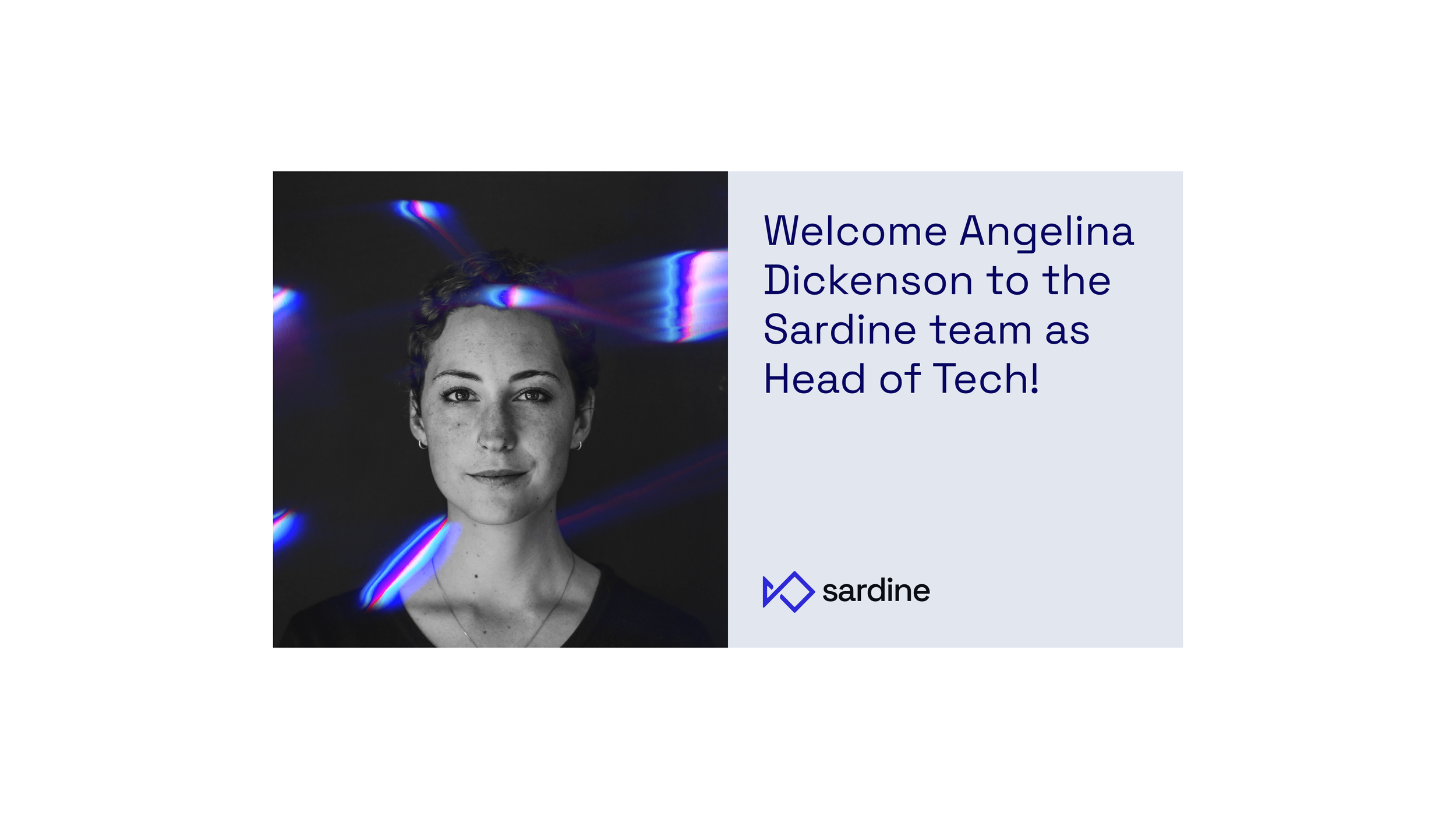 Sardine.ai — What Else