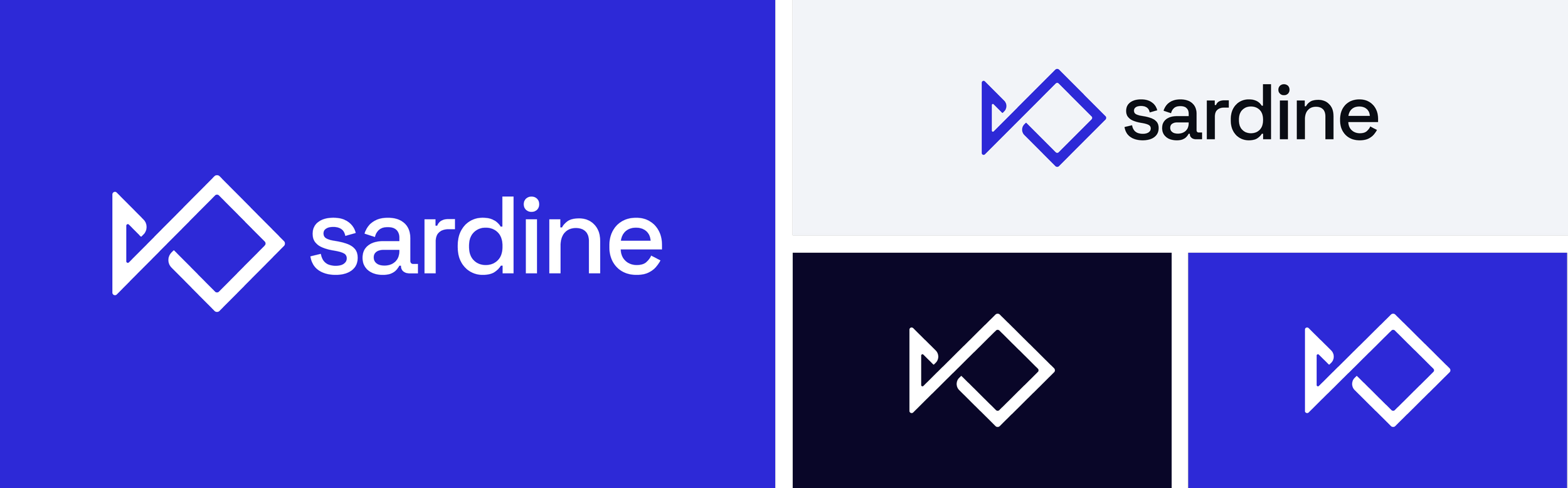 Sardine.ai — What Else