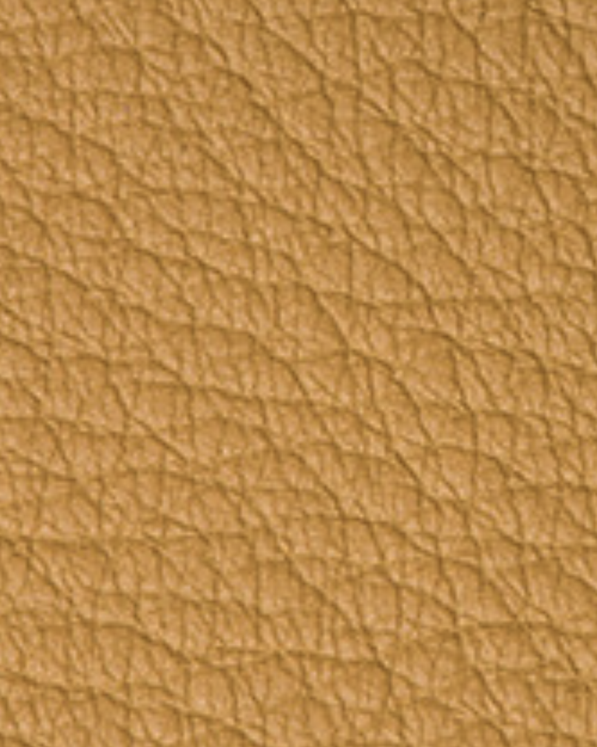 Screenshot 2026-02-24 at 11.13.56 PM.png