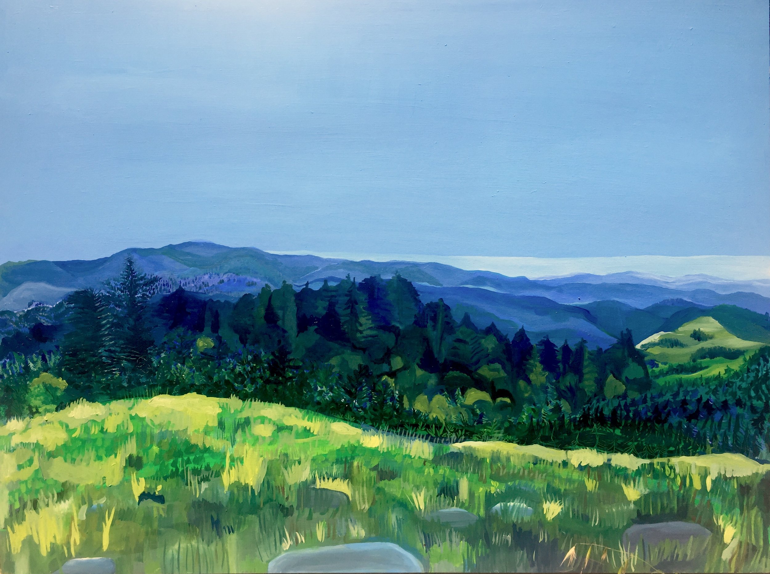 Borel Hill, 2020, oil on board, 20 x 40 inches, collection of Morris and Michael Hardt