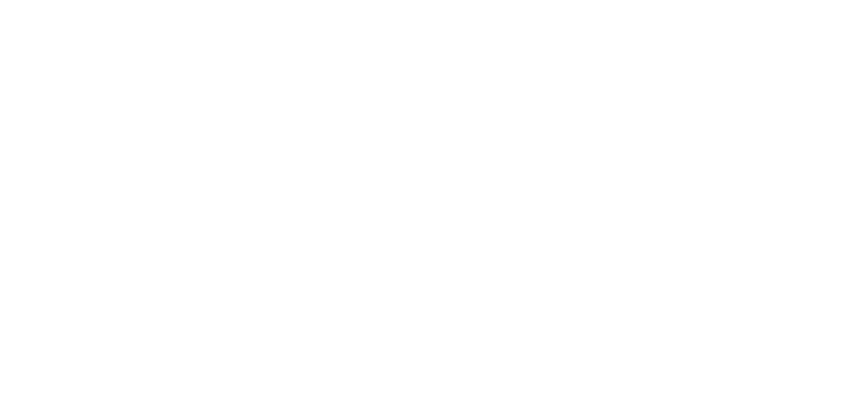 Everyday Institute