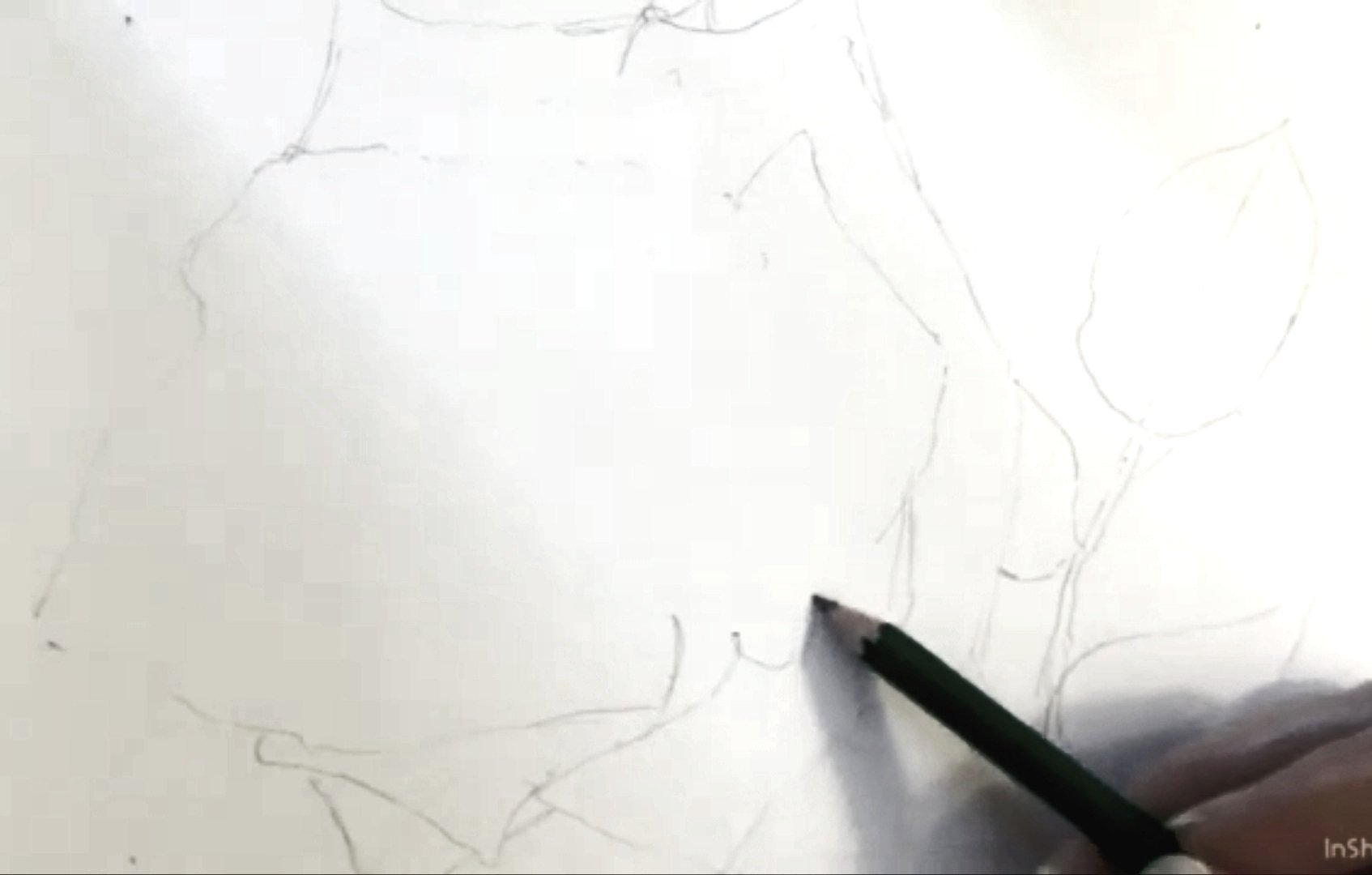 Draw the Outline