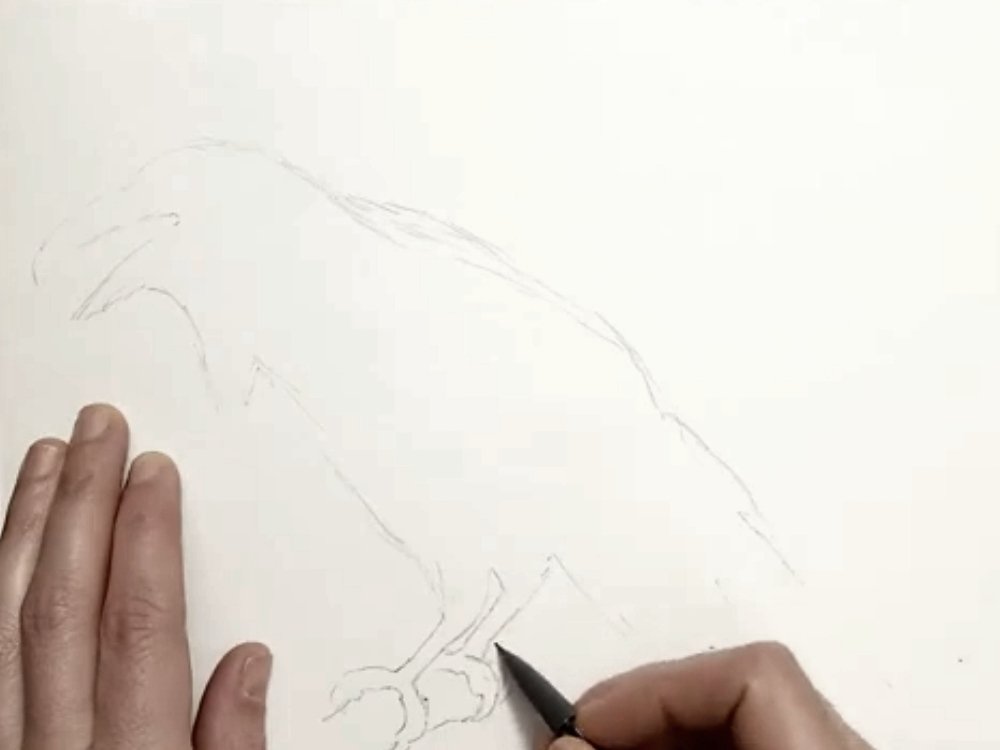 Draw an outline