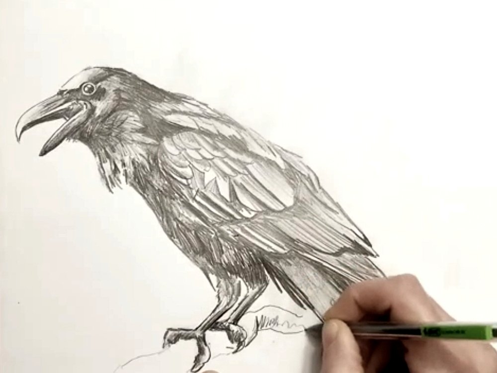 Give the Raven a Perch