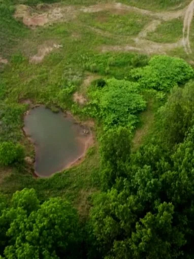 Screen Shot 2022-11-17 at 1.49.00 PM.jpg