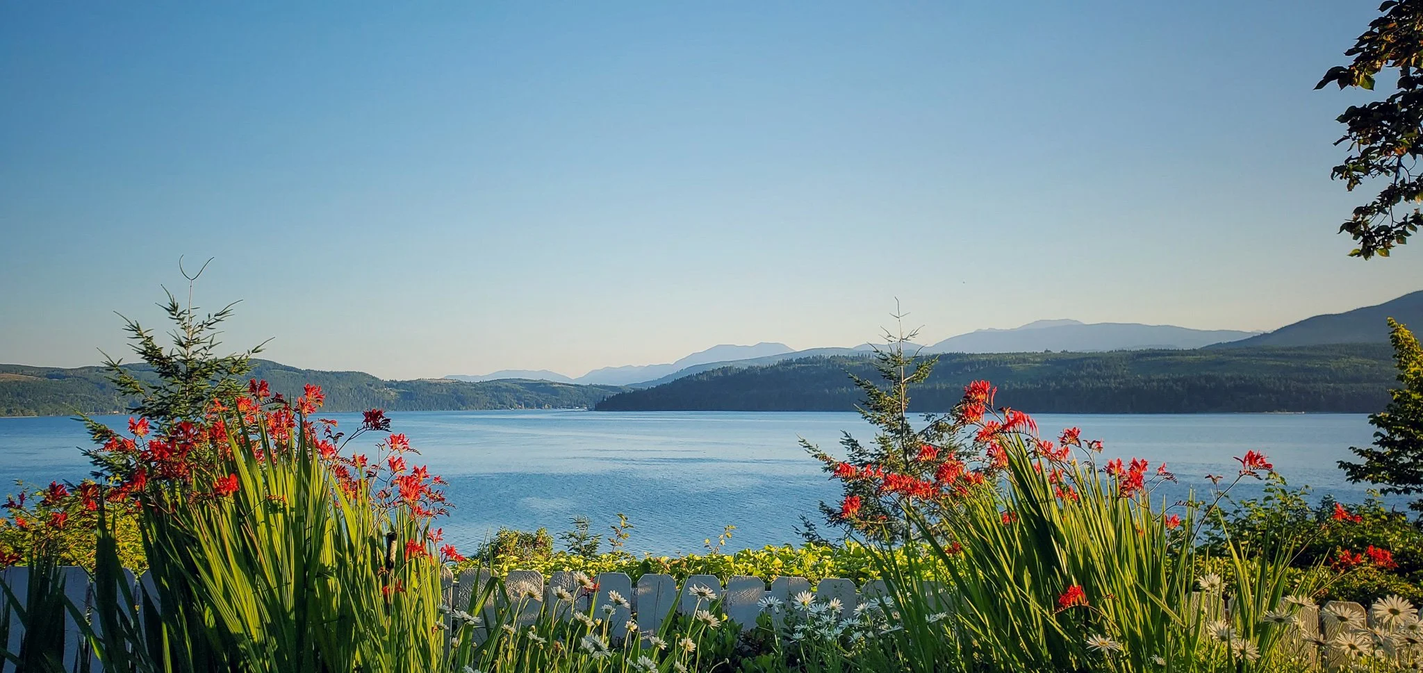 Red Crocosmias with view of Discovery Bay