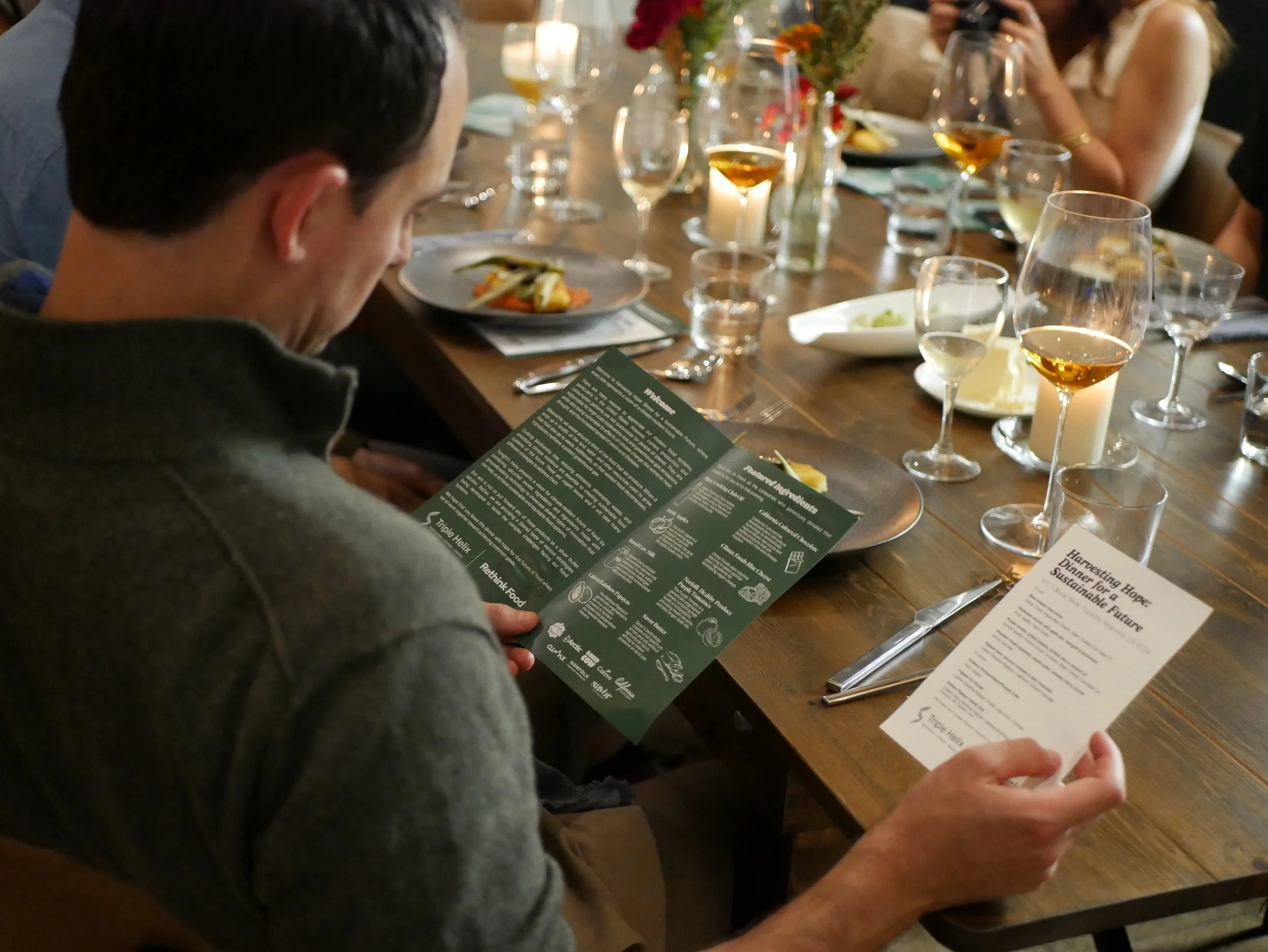 Copy of P1180278.JPG