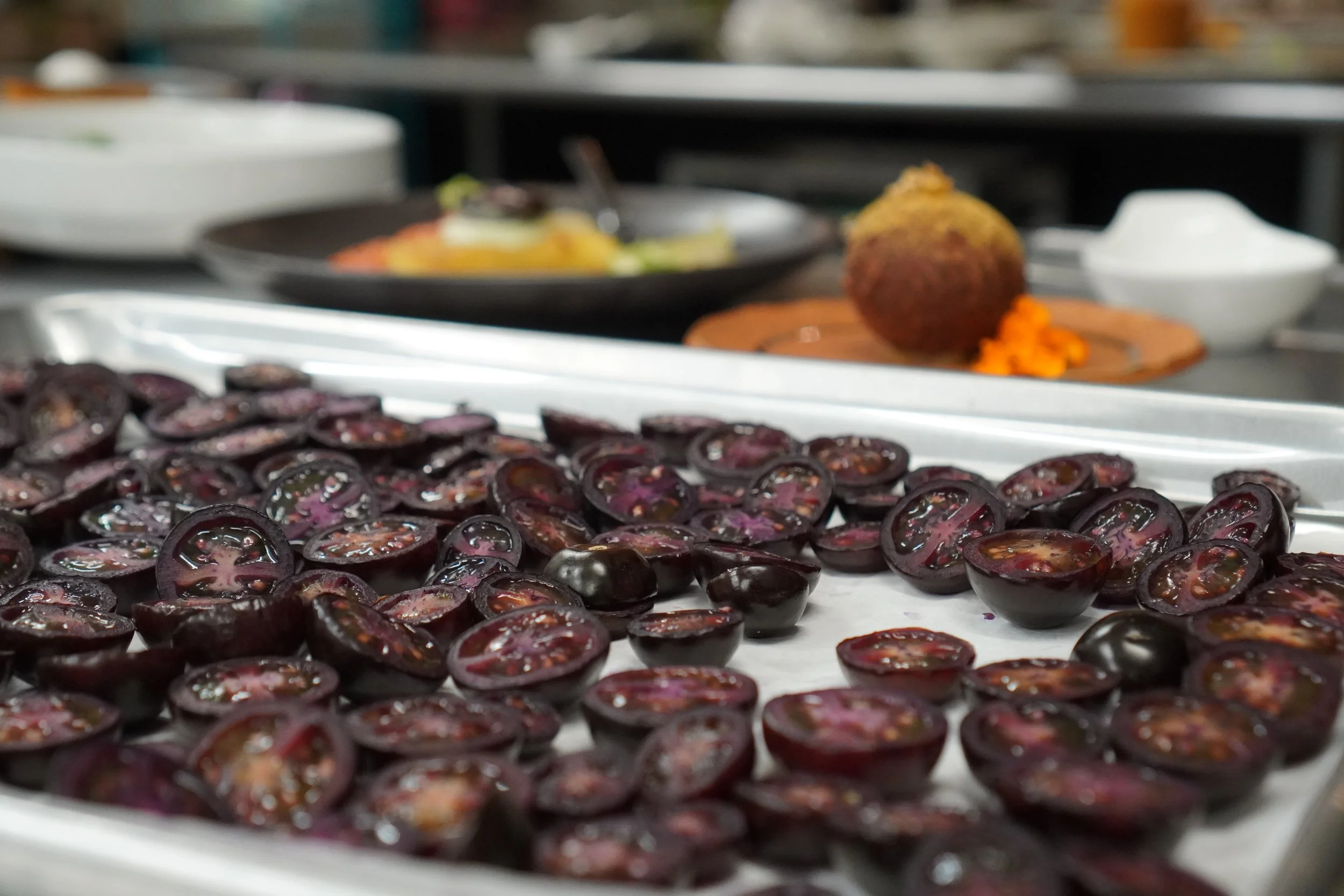 Copy of DSC03880.JPG