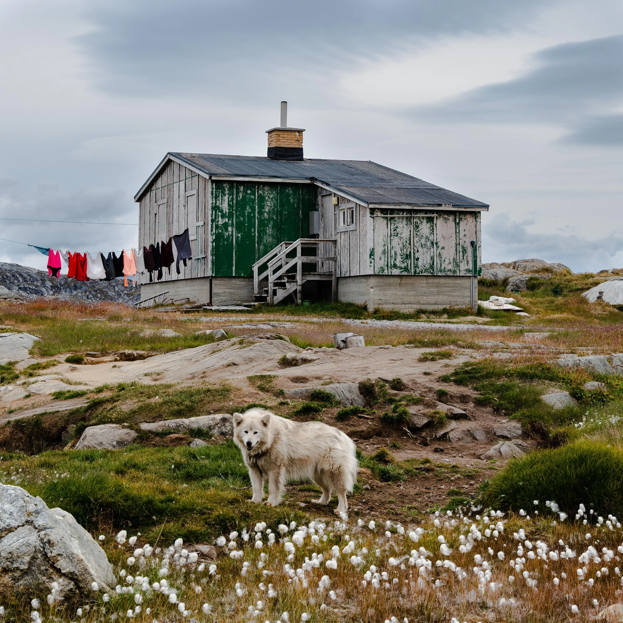 Greenland_2022-106.jpeg