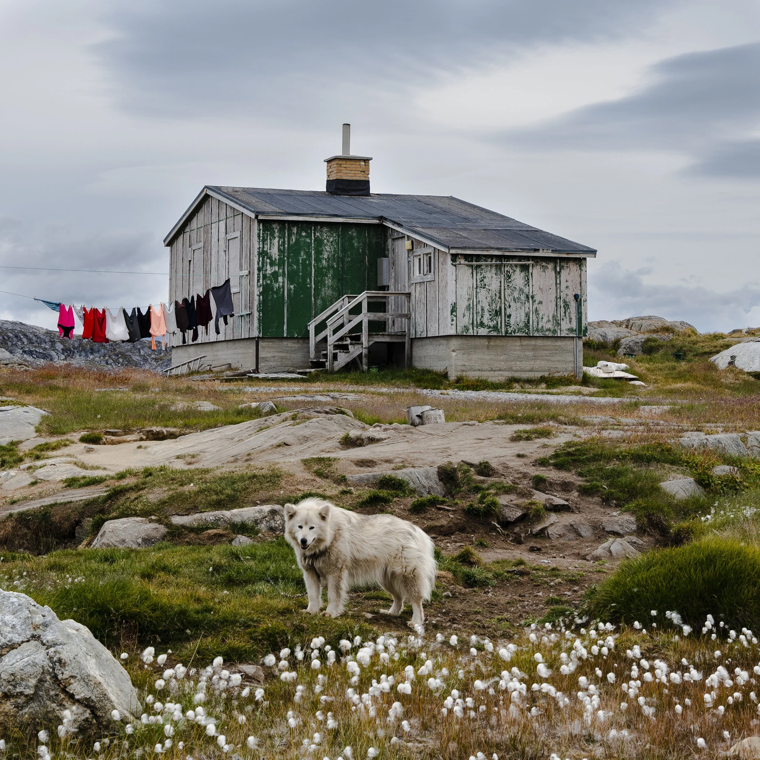 Greenland_2022-106.jpg