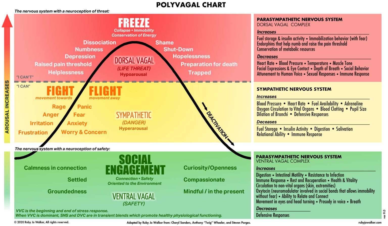 Polyvagal Theory in Trauma Therapy