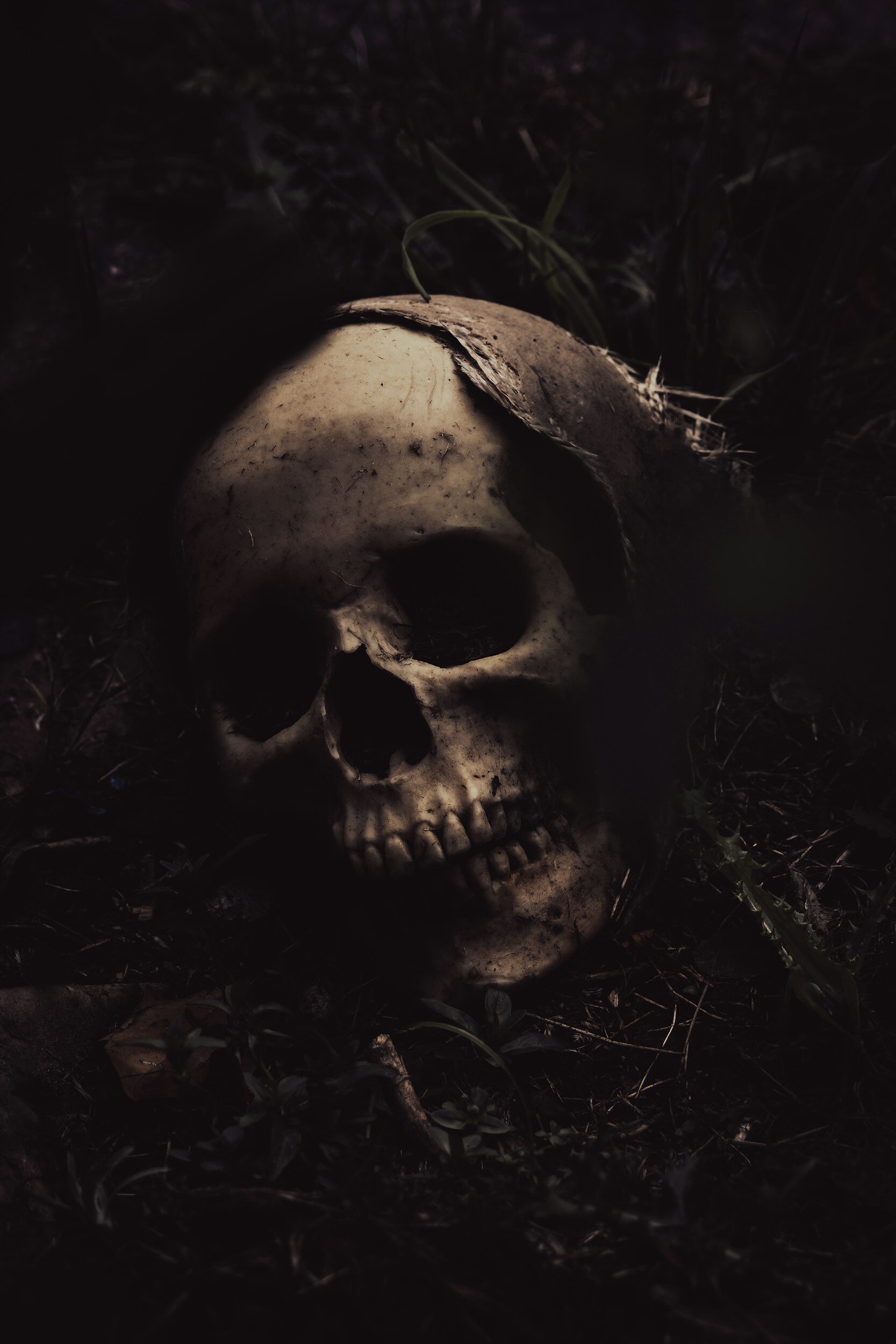 Human skull partially buried in dark soil and grass, dimly lit, creating a spooky atmosphere.