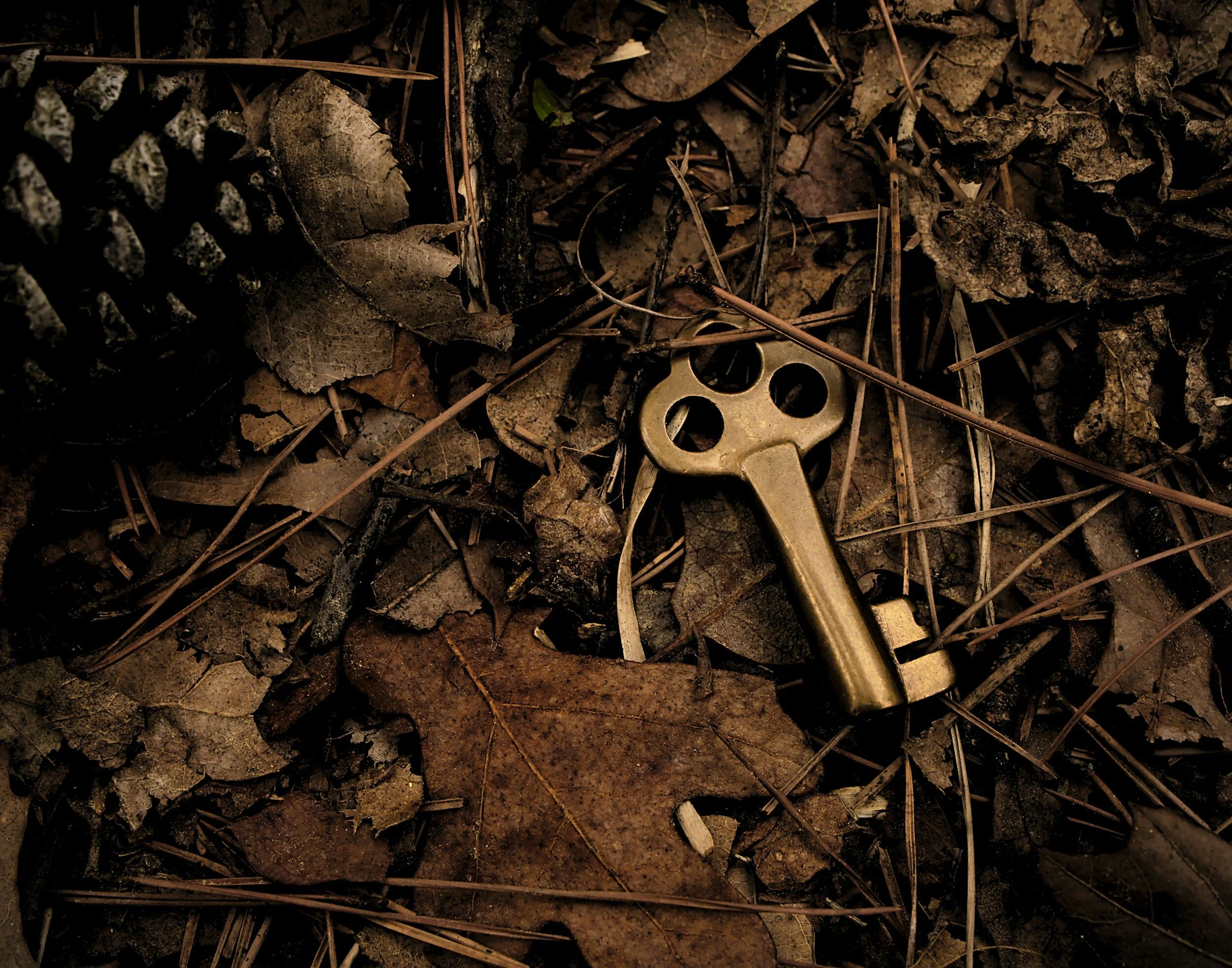Antique brass wind-up key on forest floor covered with dry leaves and pine needles.