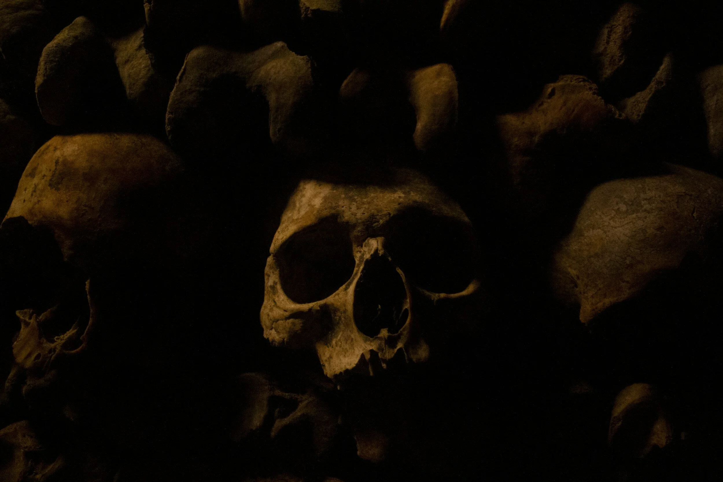 A dimly lit human skull surrounded by other skulls and bones in darkness.