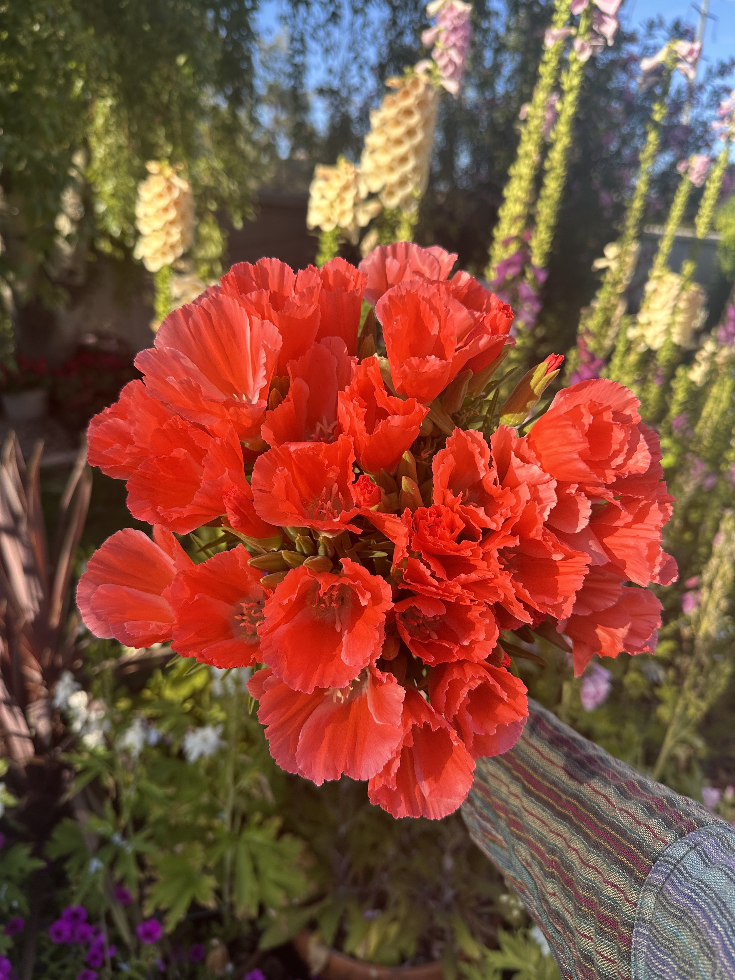 IMG_5214.jpeg