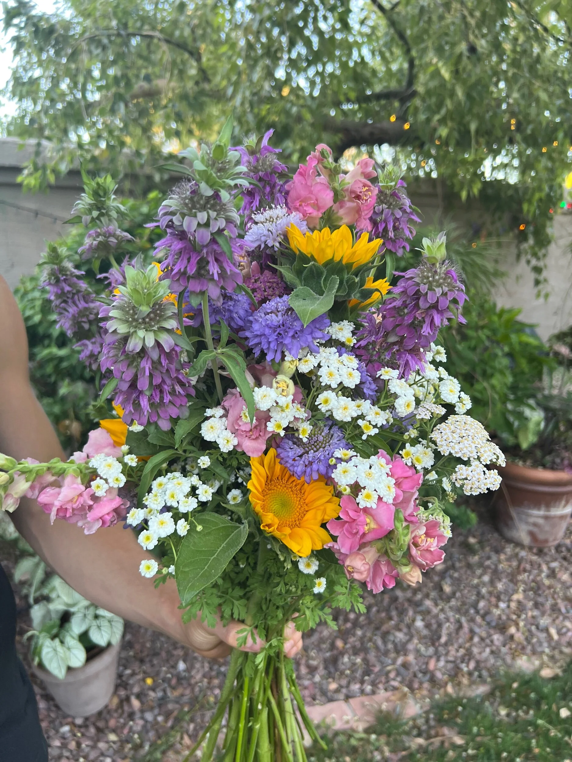 A hand holding a colorful bouquet of mixed flowers outdoors, with a tree and potted plants in the background.