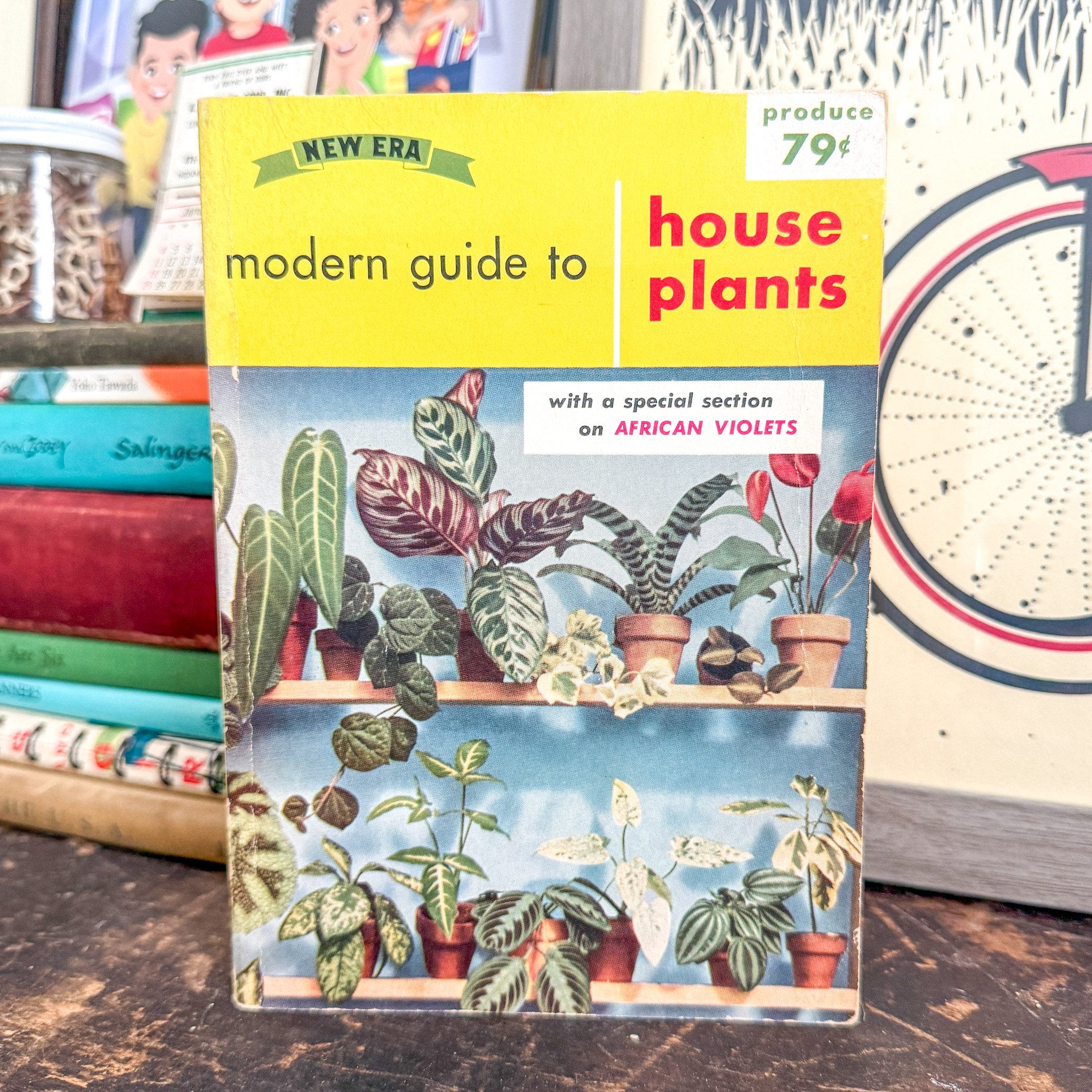 Modern Guide to House Plants