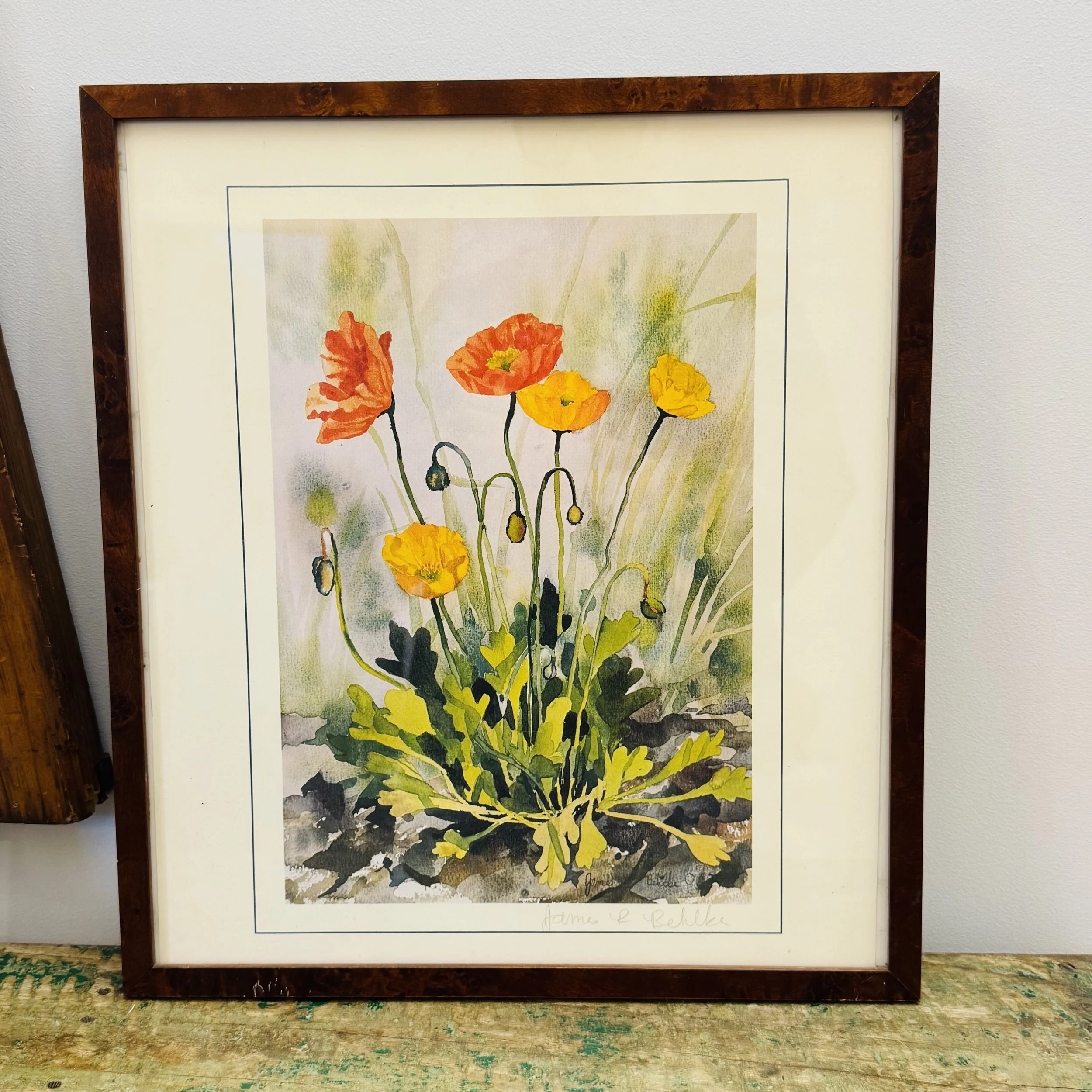 Poppies Watercolor