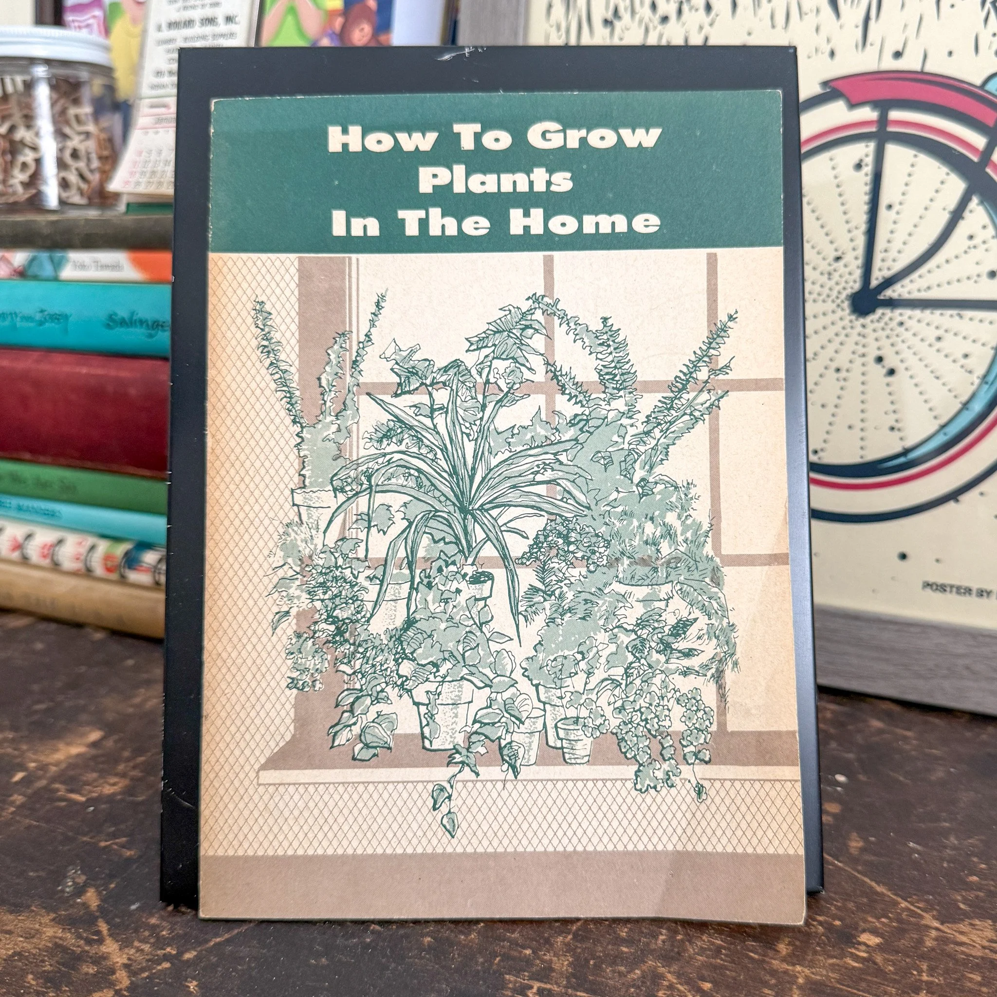 How to Grow Plants in the Home