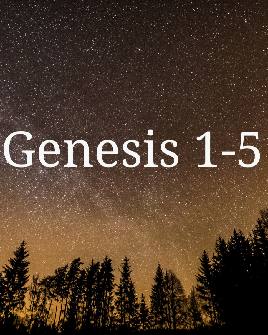 In the Word: Genesis 1-5
