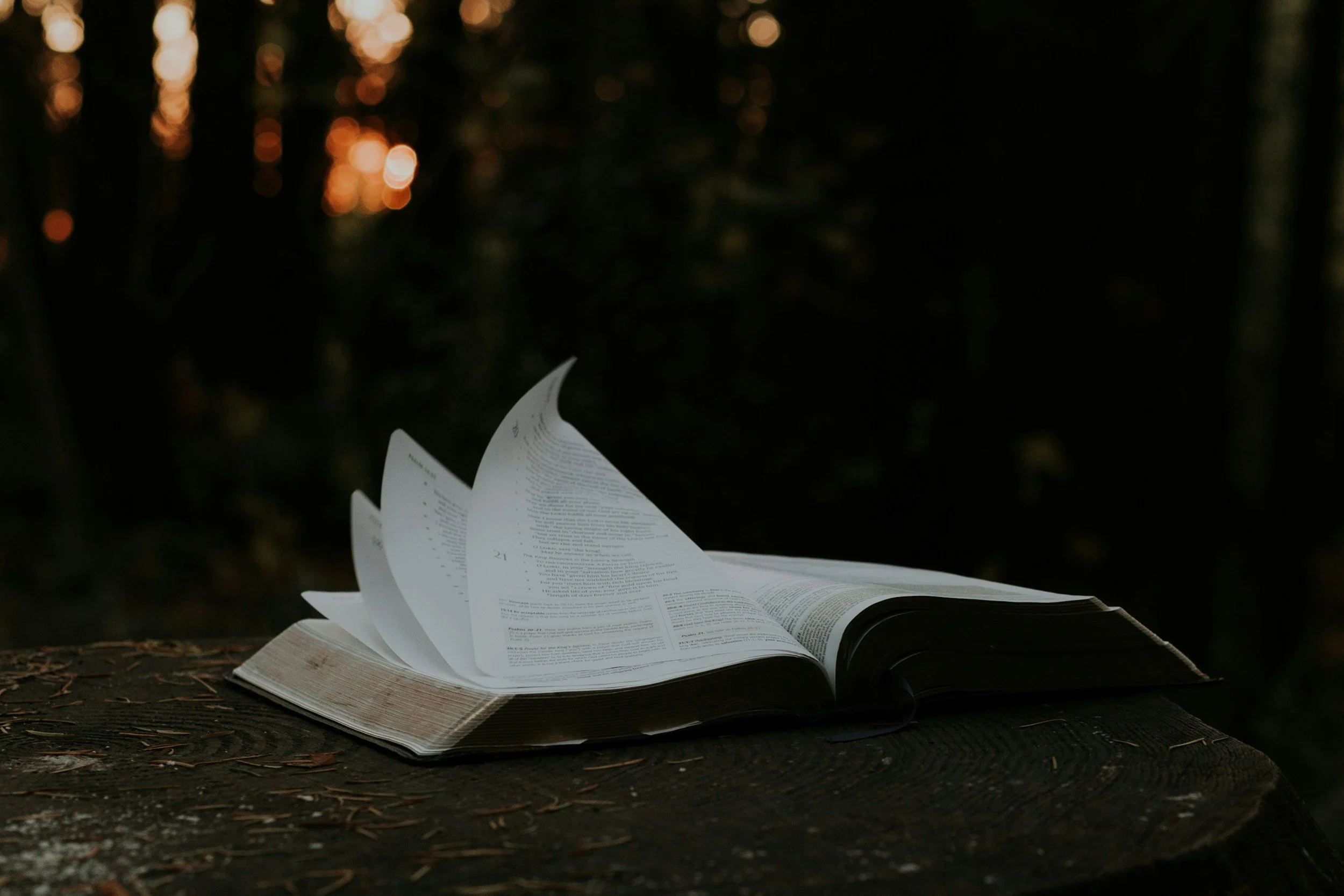 What Does It Mean to Be Reformed?