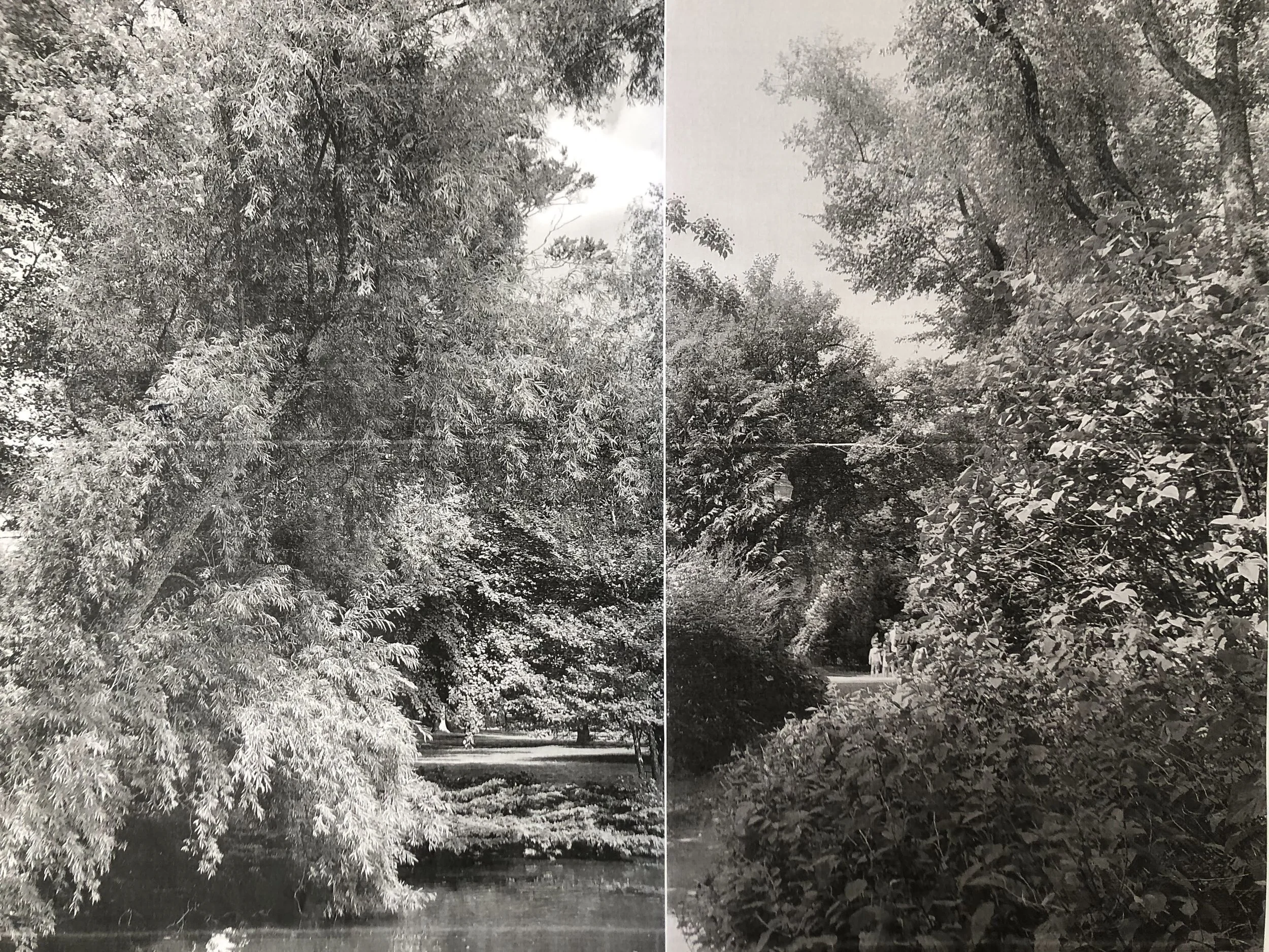 To Beauty Hidden reference