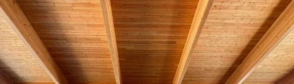 roof beams and decking