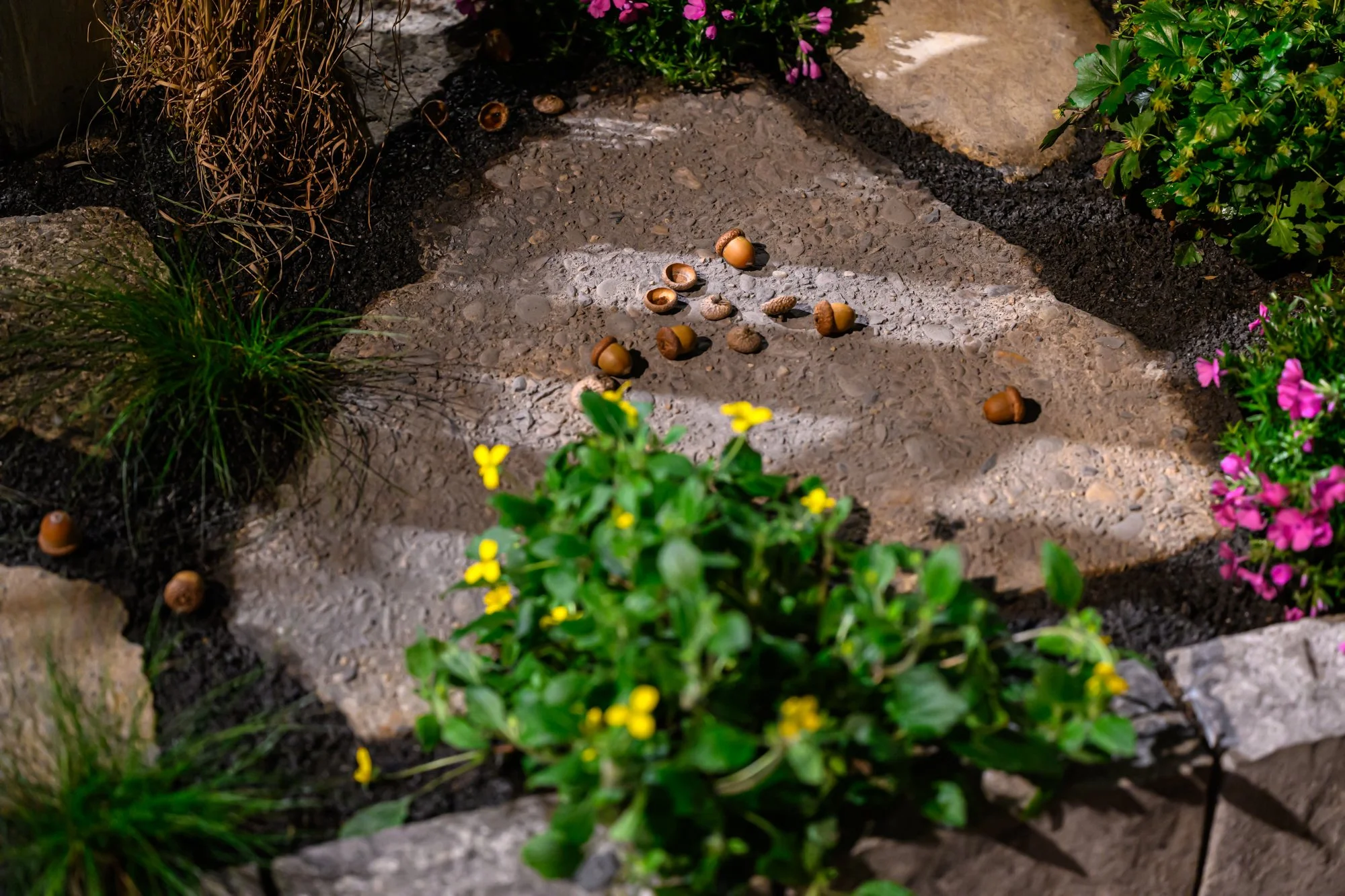 KellyDNorris Flowershow-260227-117.jpg