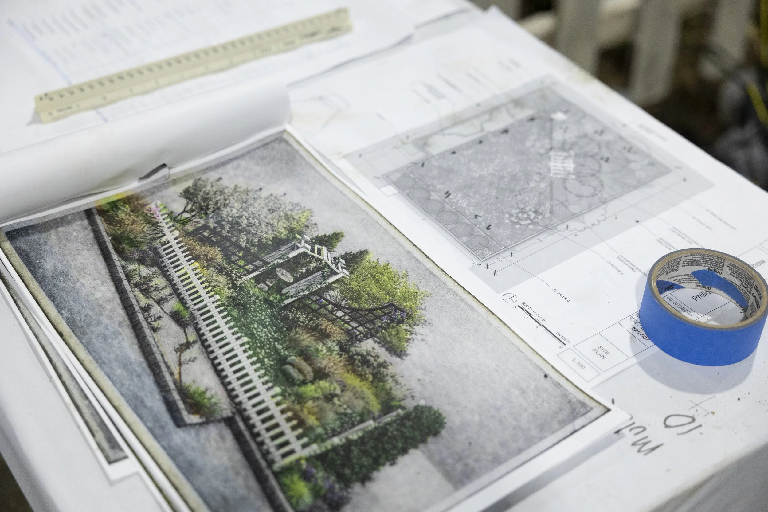 photo by Rachel Wisniewski