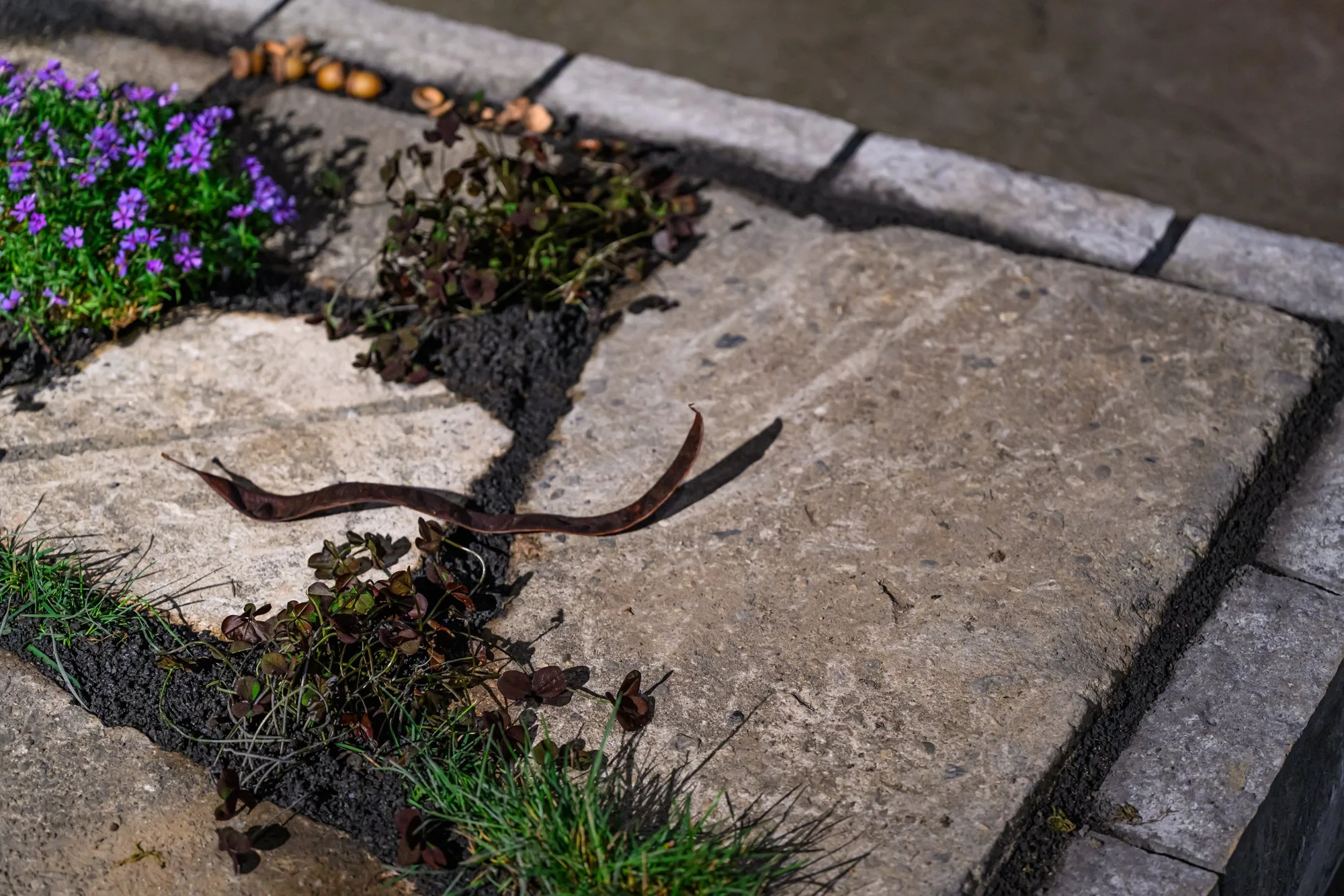 KellyDNorris Flowershow-260227-074.jpg