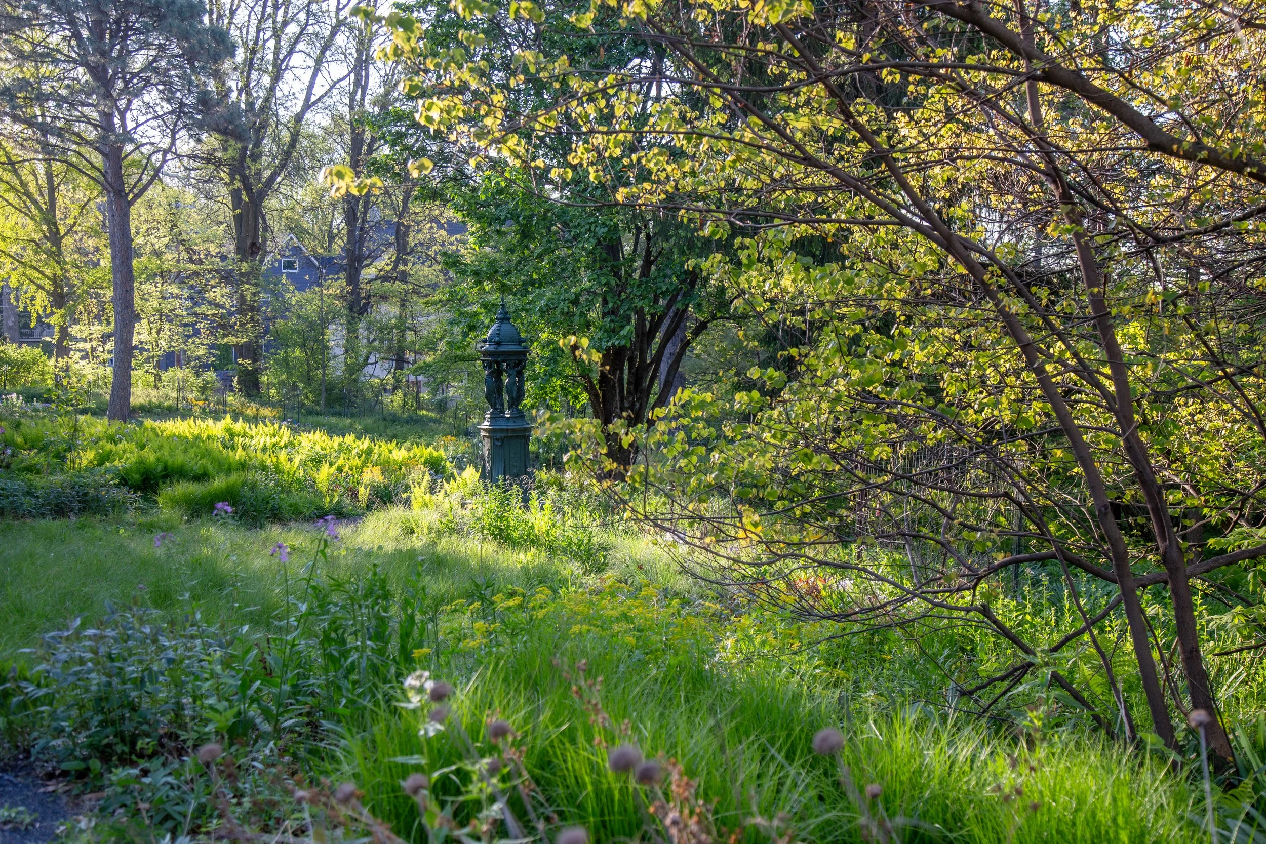 IMG_2355.jpg