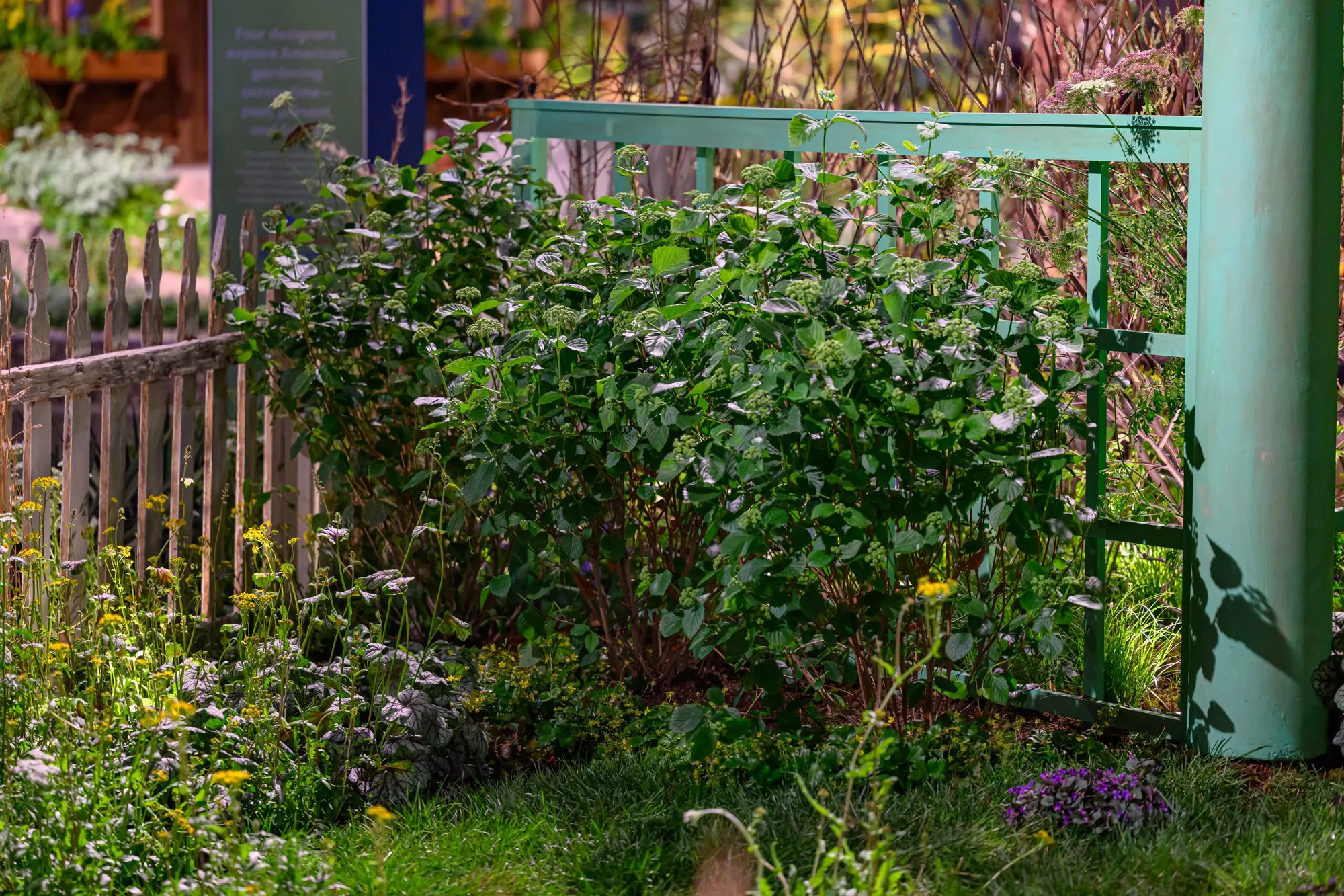 KellyDNorris Flowershow-260227-120.jpg