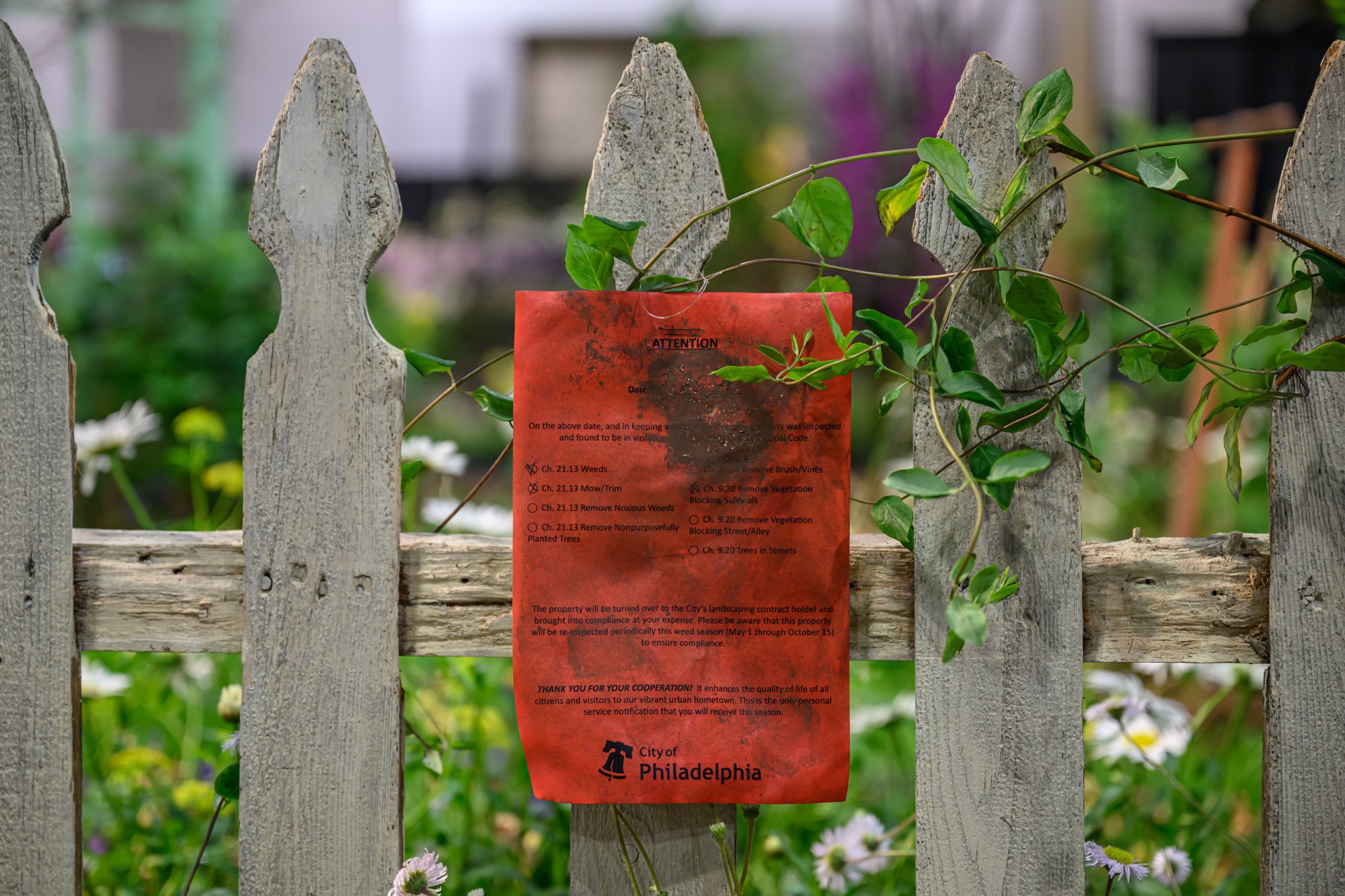 KellyDNorris Flowershow-260305-001.jpg