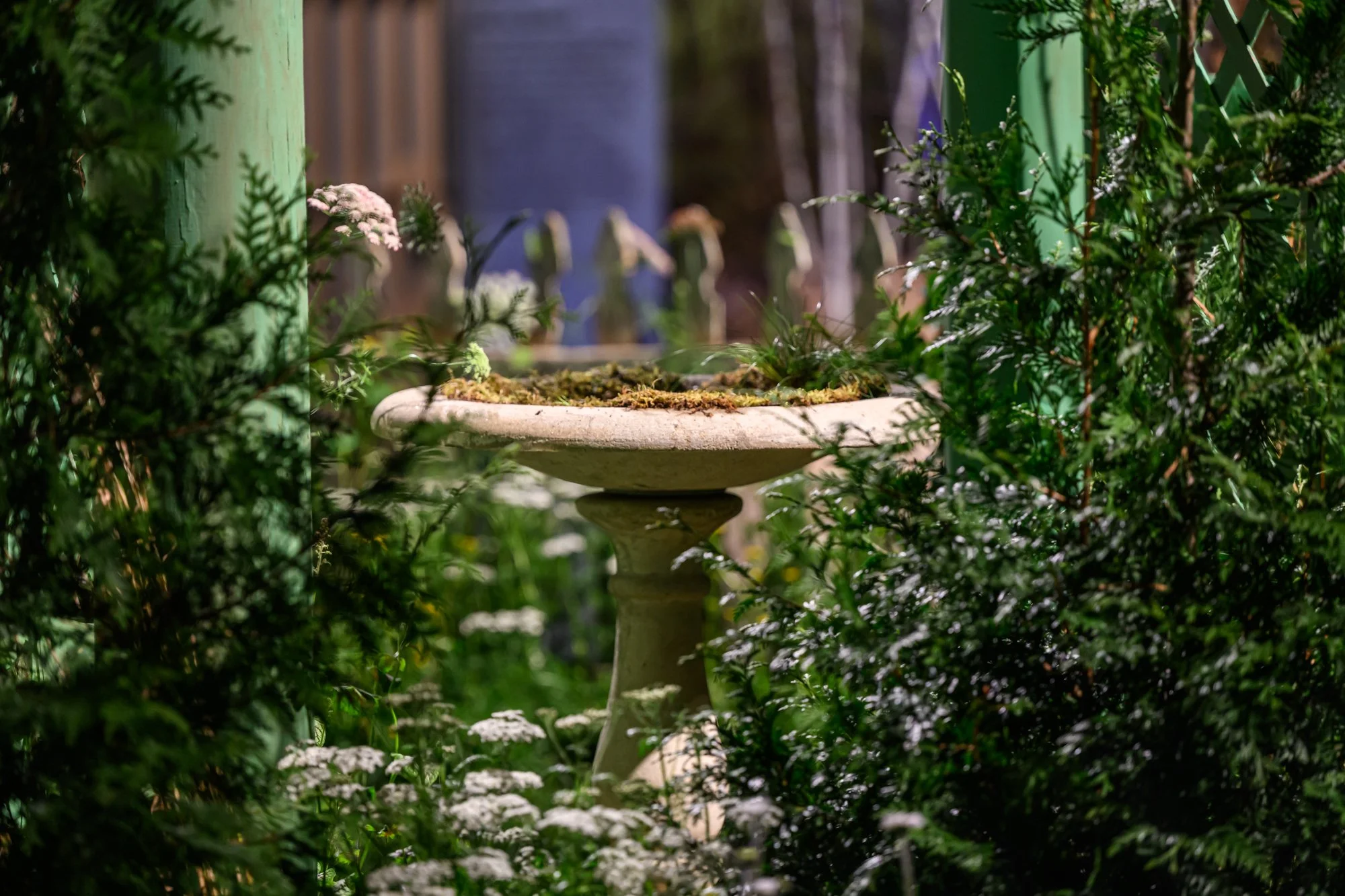 KellyDNorris Flowershow-260227-107.jpg