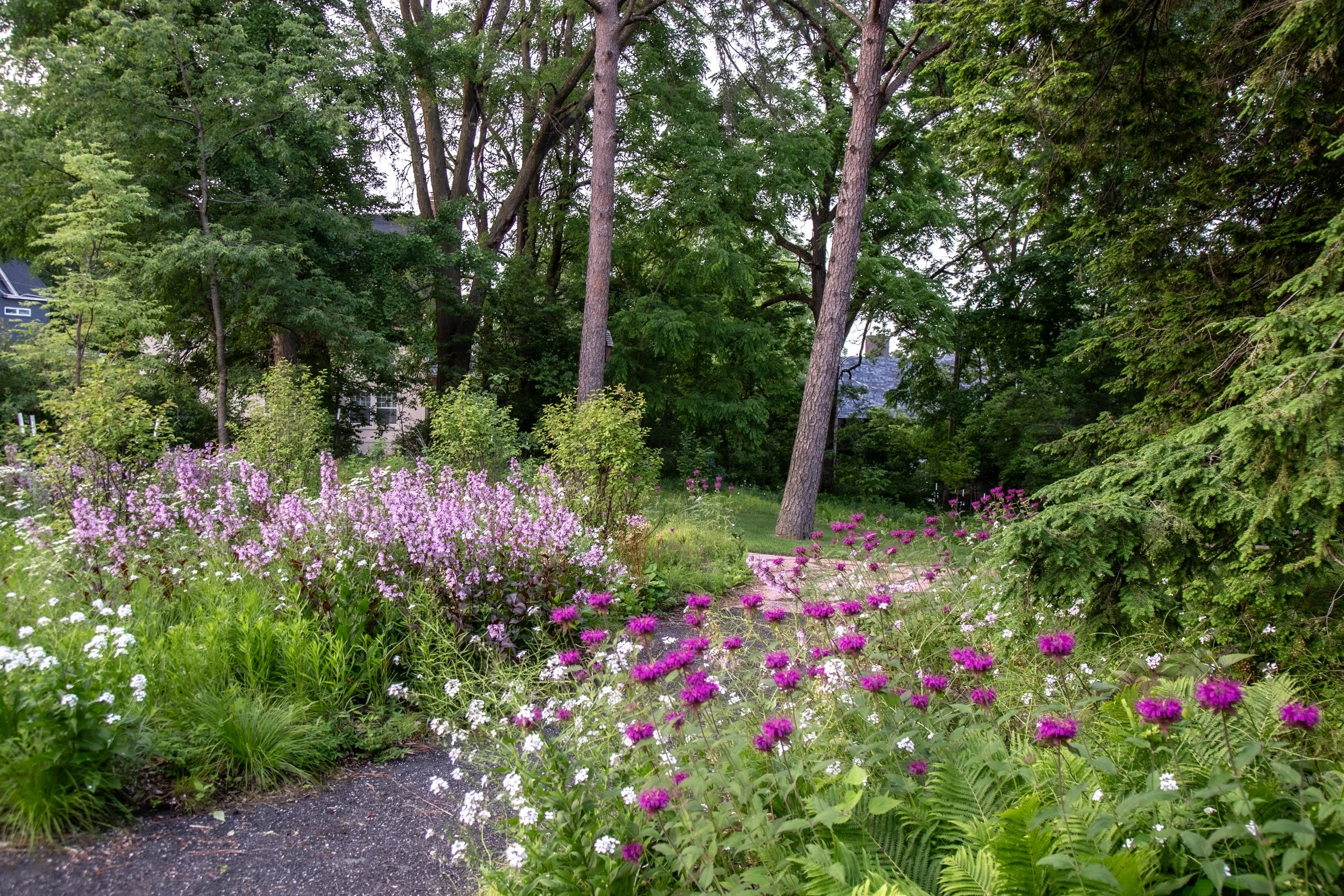 2025-06-10 07.47.25-1.jpg