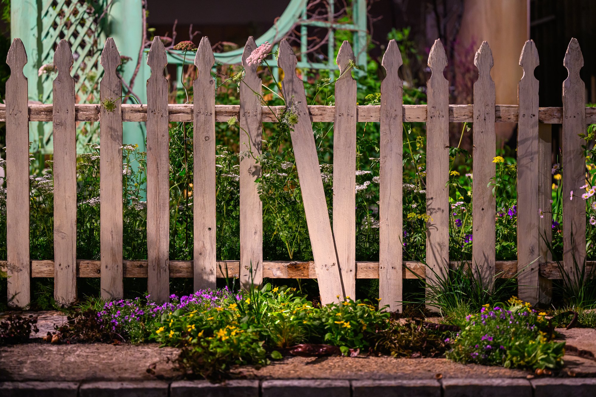 KellyDNorris Flowershow-260227-081.jpg