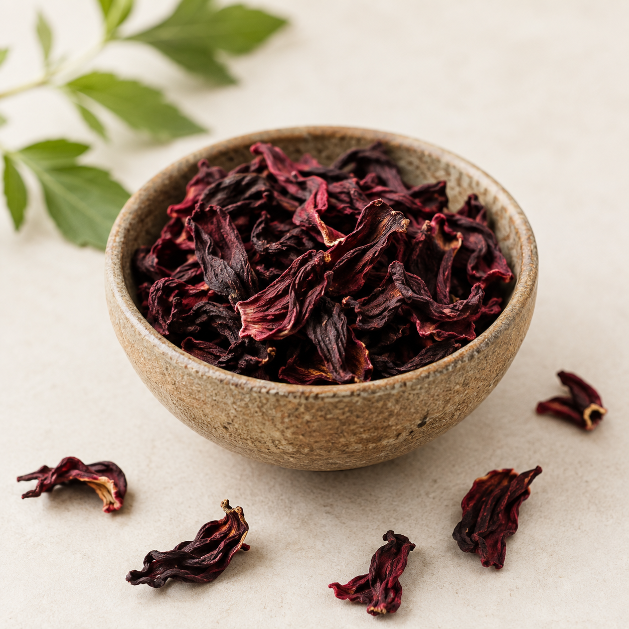 Hibiscus Flowers