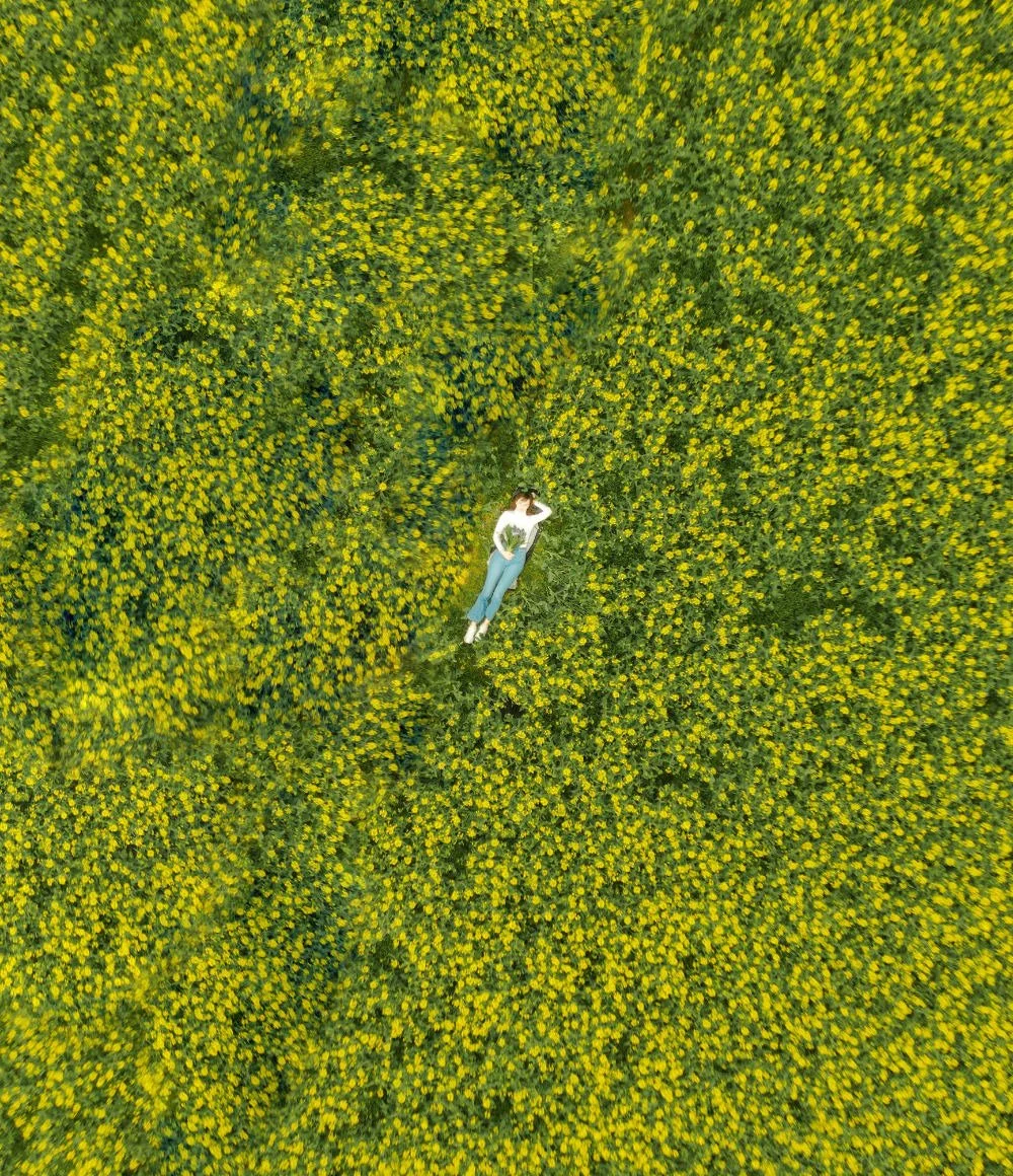 Women lying in a field of yellow flowers