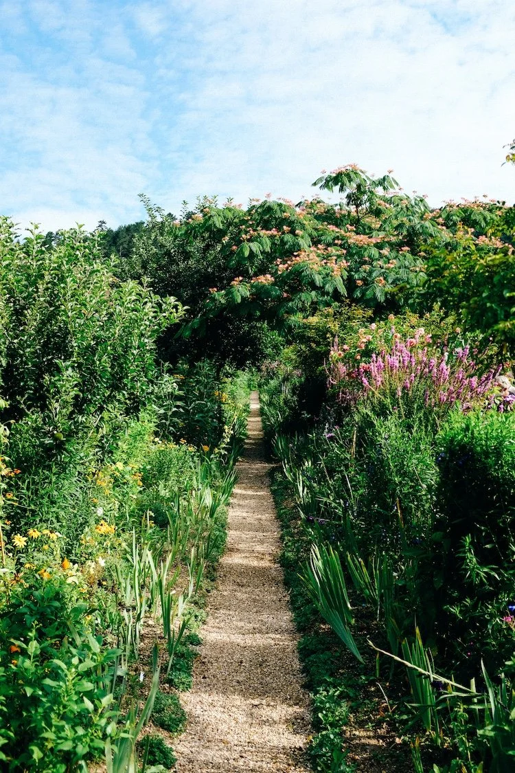 Garden path winding through lush greenery and summer blooms, inspired by the seasonal journey