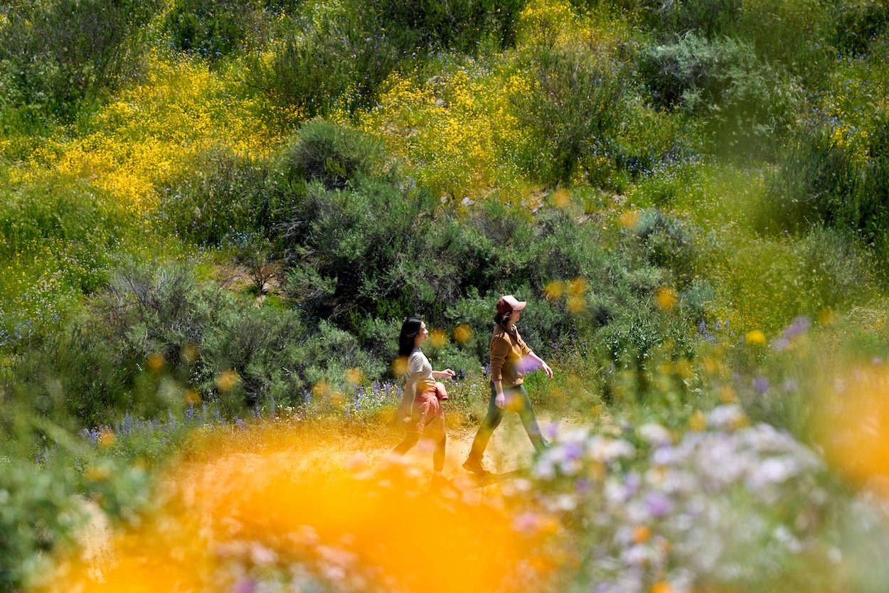 Two women walking through a colourful wildflower field, inspired by nature, seasons, and connection