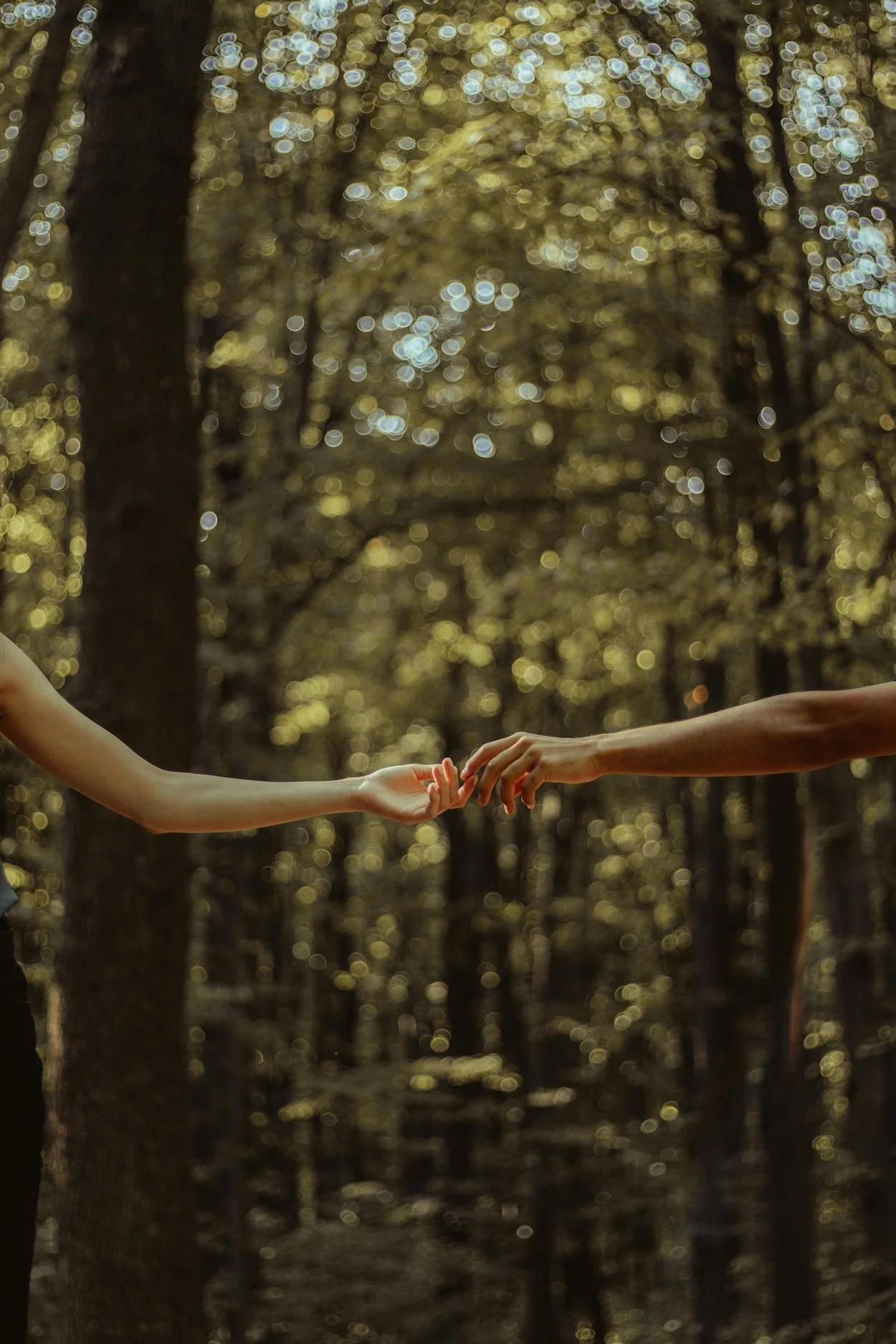 Two hands reach for each other against the backdrop of a dense forest