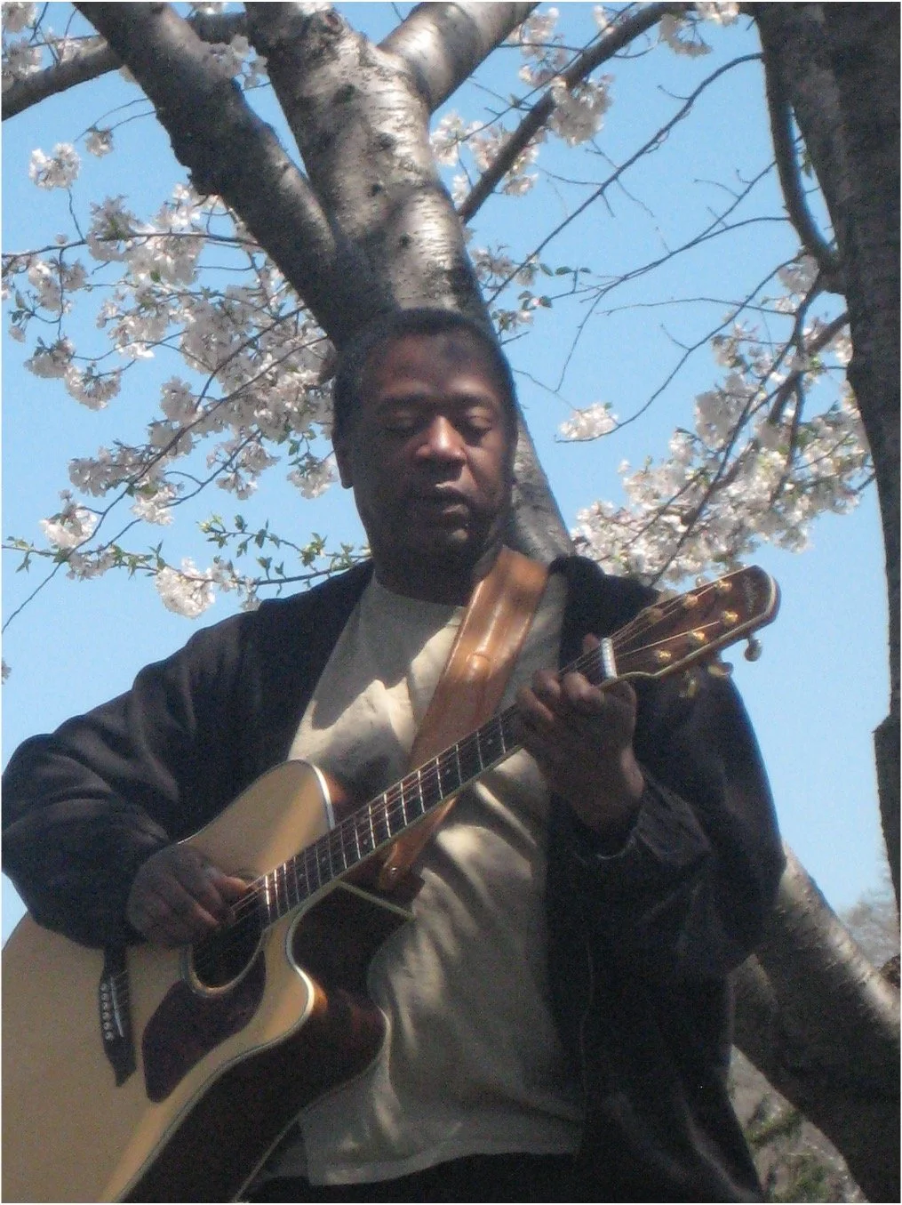 Tyrone Cotton tree 2.jpg