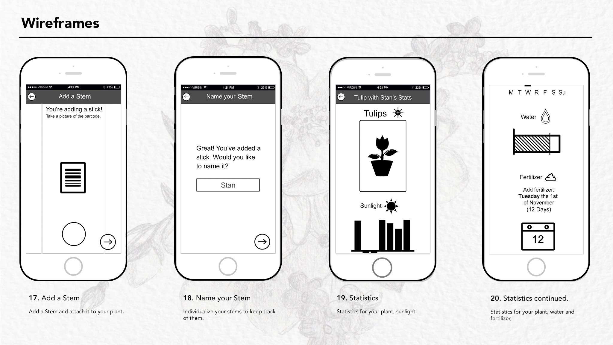 Wireframes2.5.jpg
