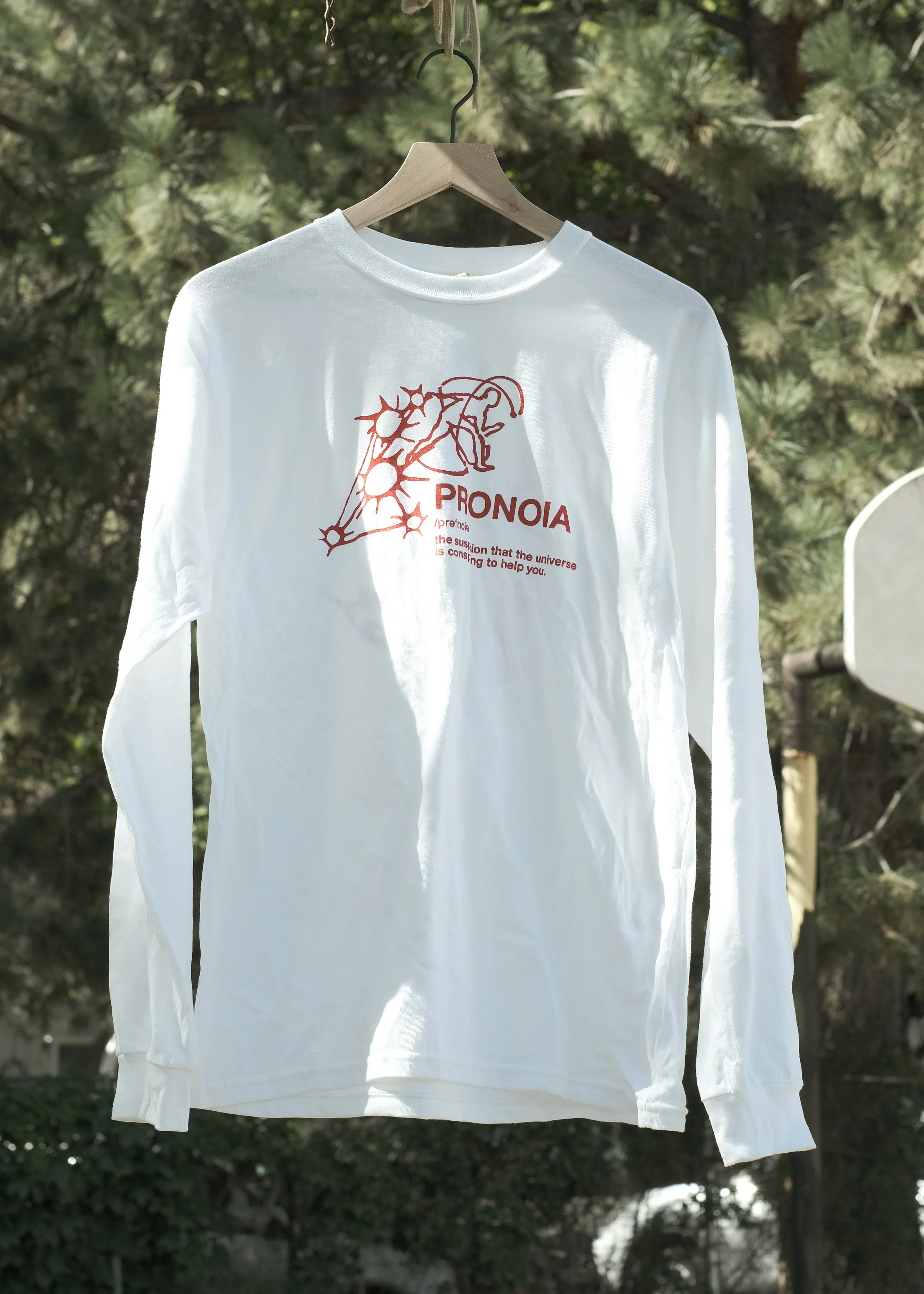 DSCF7017.jpg