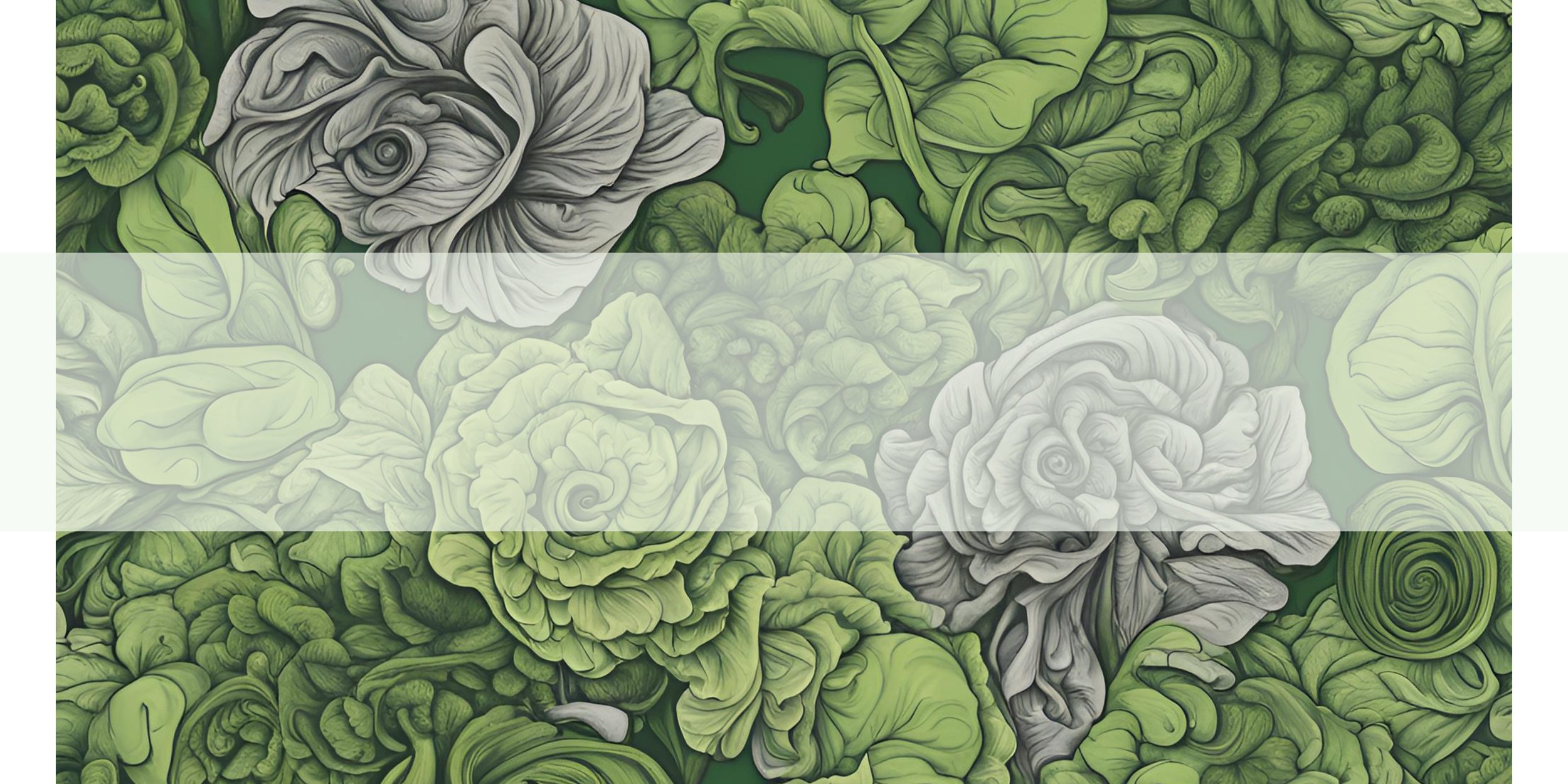 Training Hub Koru training-hub-koru