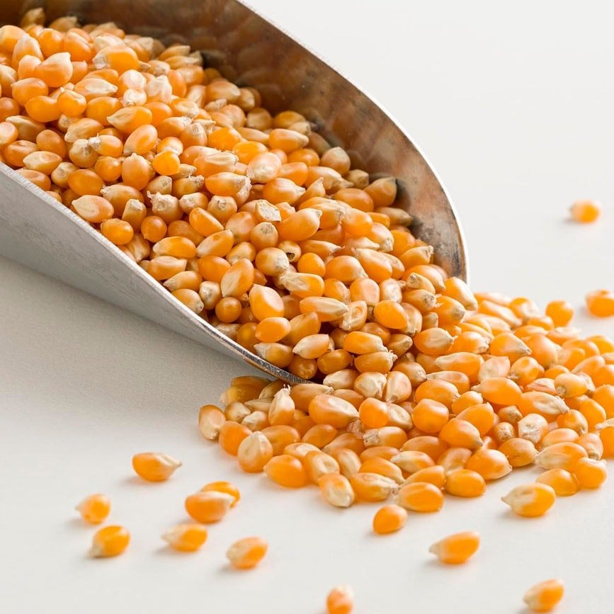 🍿 Happy Popcorn Day! 🍿
Light, crunchy and endlessly snackable &mdash; popcorn is the ultimate feel-good treat.

We love it because it&rsquo;s
✨ Wholegrain
✨ Easy to make
✨ Perfect sweet or savoury
✨ A total crowd-pleaser

Try it drizzled with olive