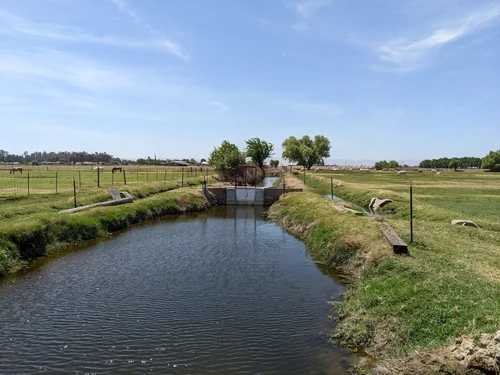 Narrow irrigation canal flowing through grassy farmland with fences and trees.