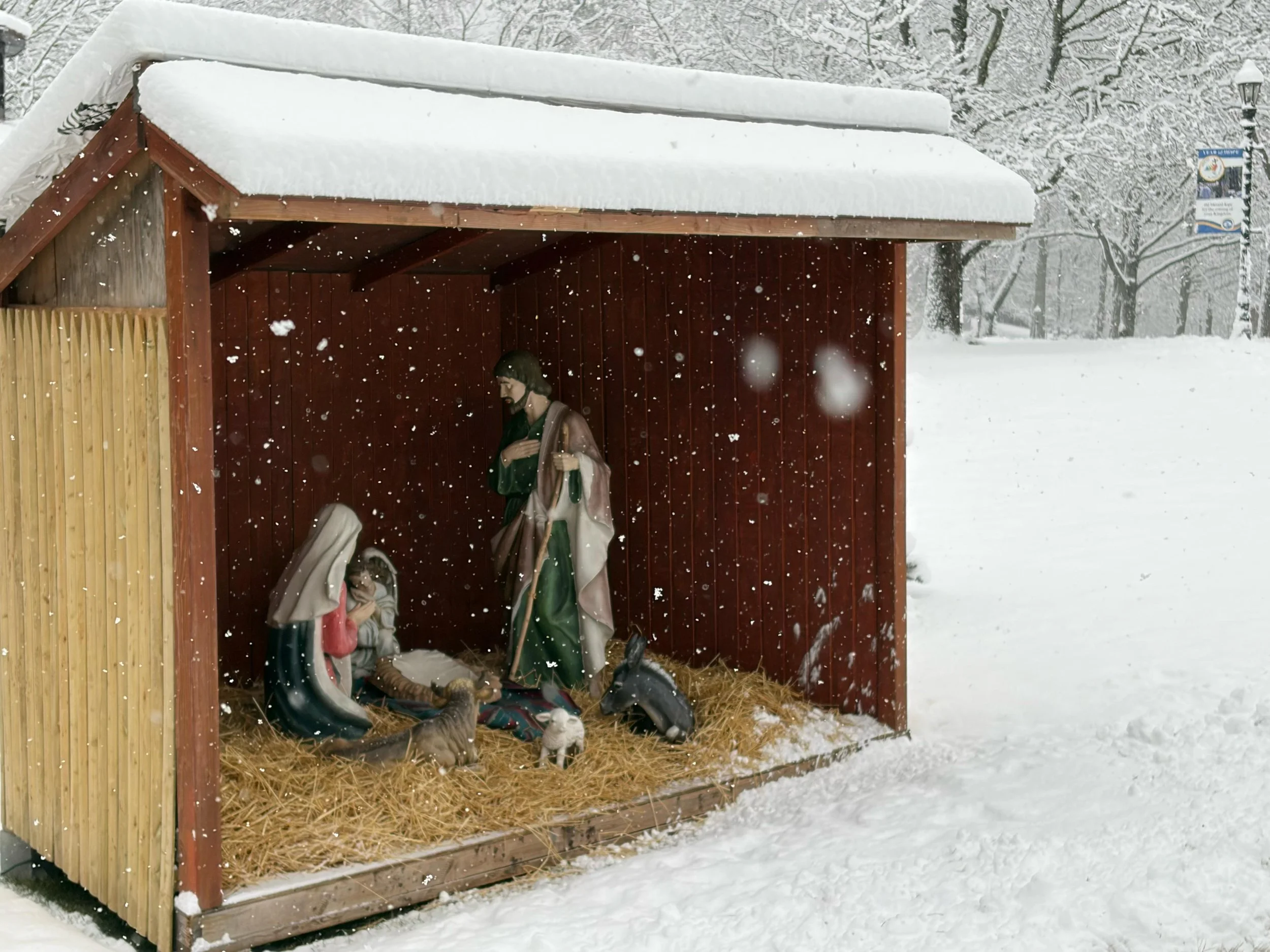 Snow Day 2025-1.jpeg